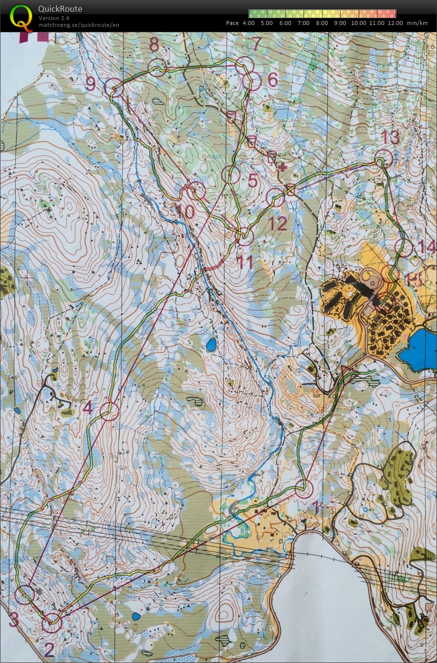 O-festivalen 2014, dag 3 (H21AK) (29.06.2014)
