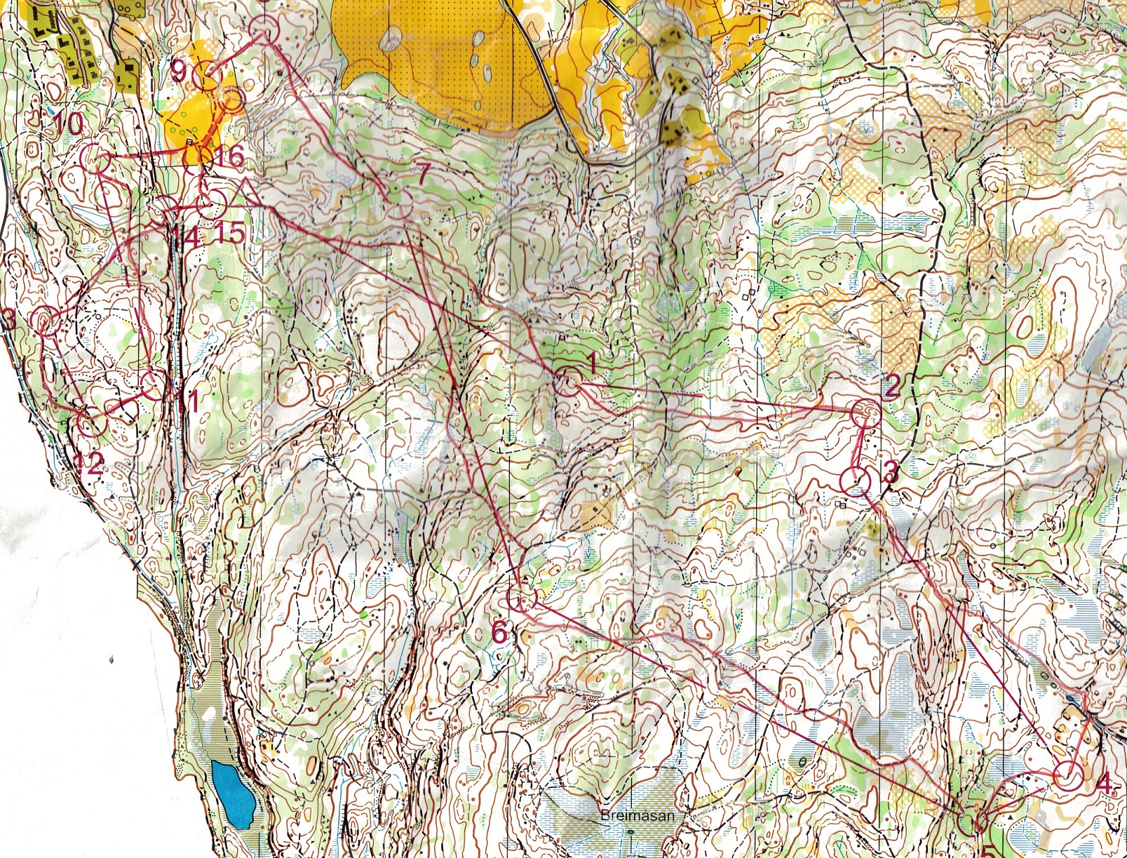 NM stafett (14.09.2014)