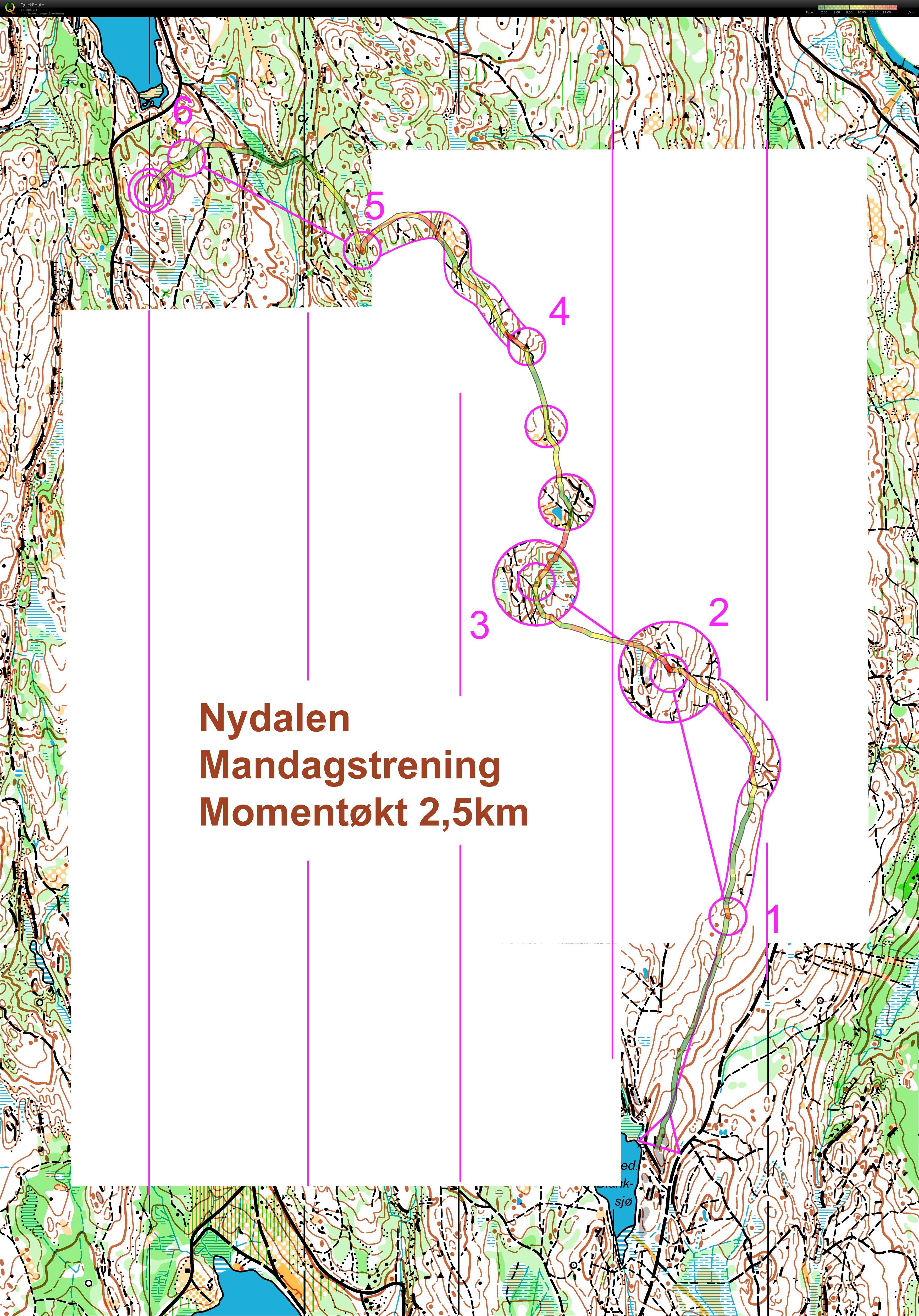 Nydalen Mandagstrening Nedre Blanksjø (16.06.2014)