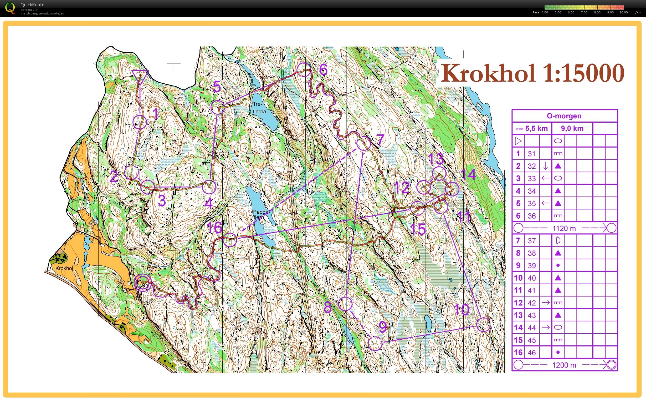 Krokhol O-morgen (13.05.2015)
