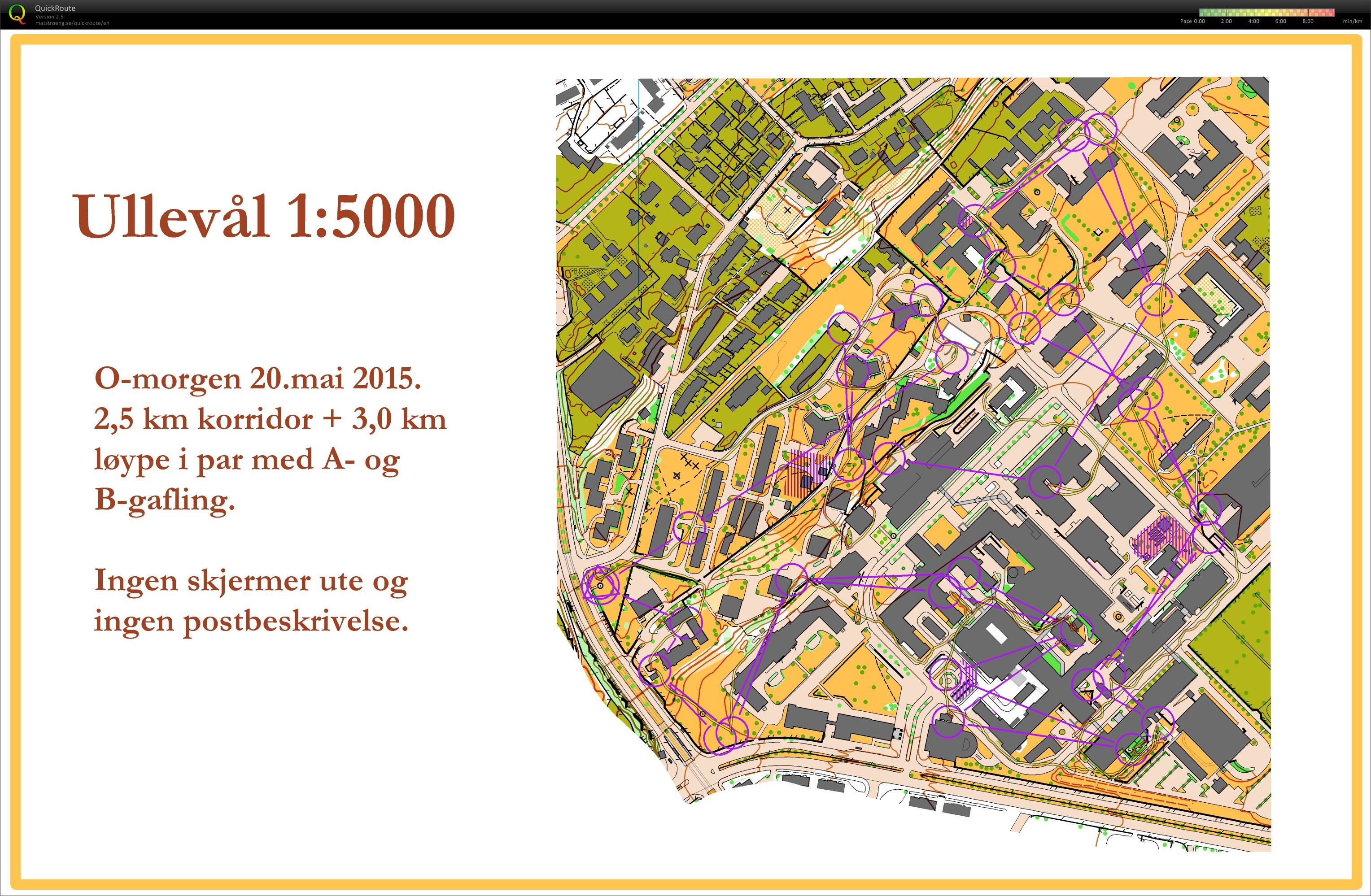 O-Morgen  (20-05-2015)