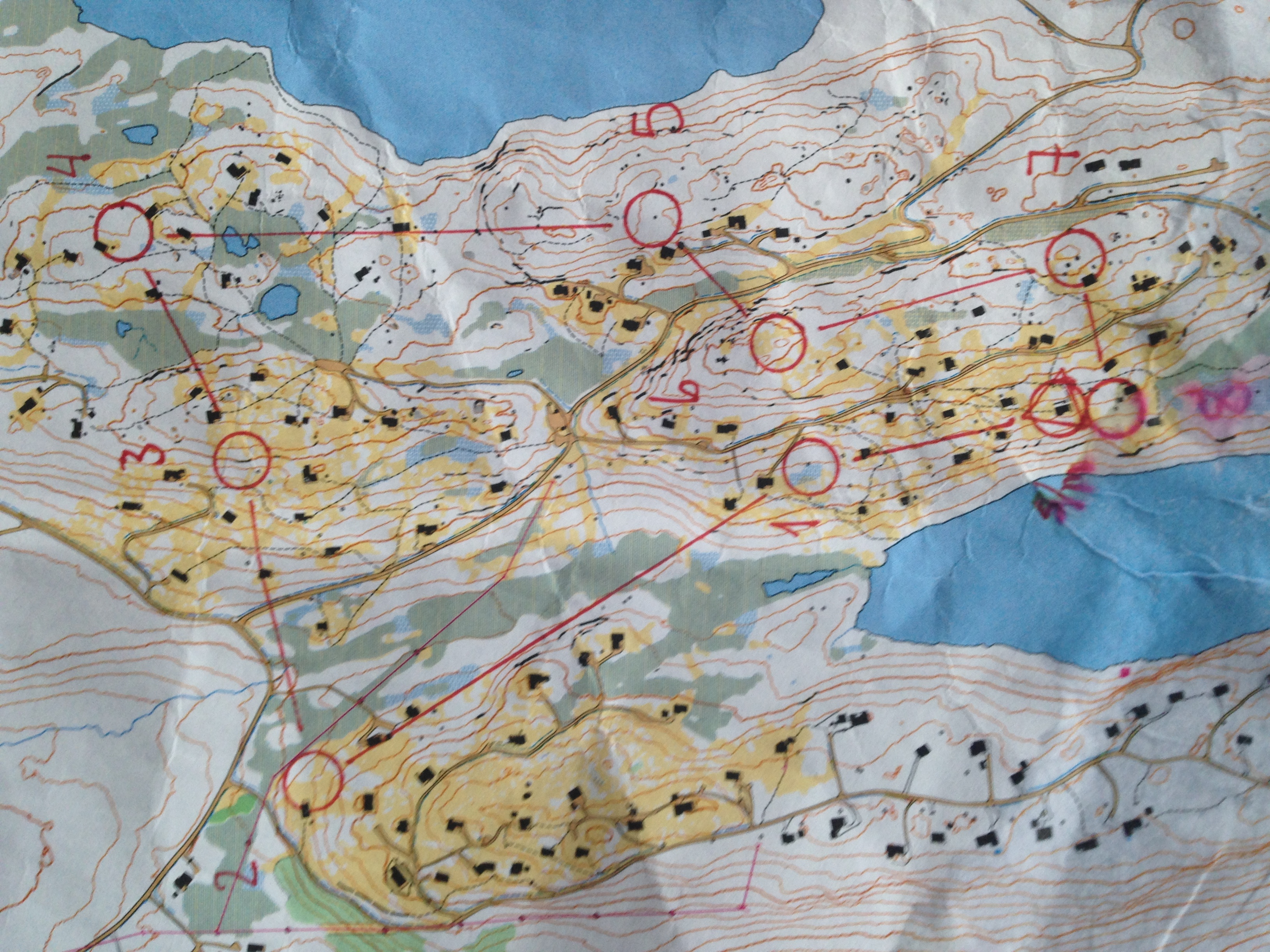 Trening på hytta (2015-07-26)