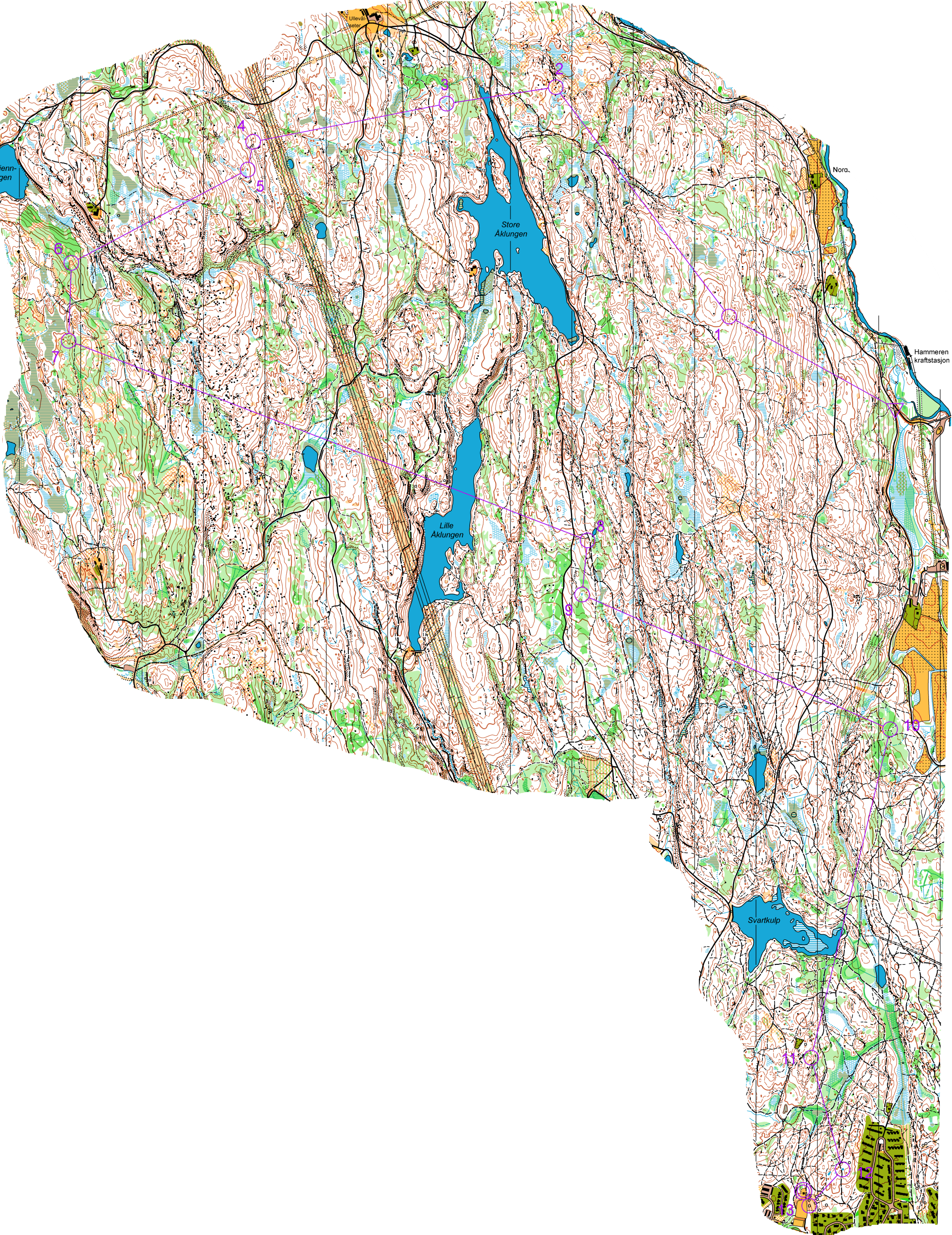 Harry Lagert Finale: Ola og Kari (30.10.2015)