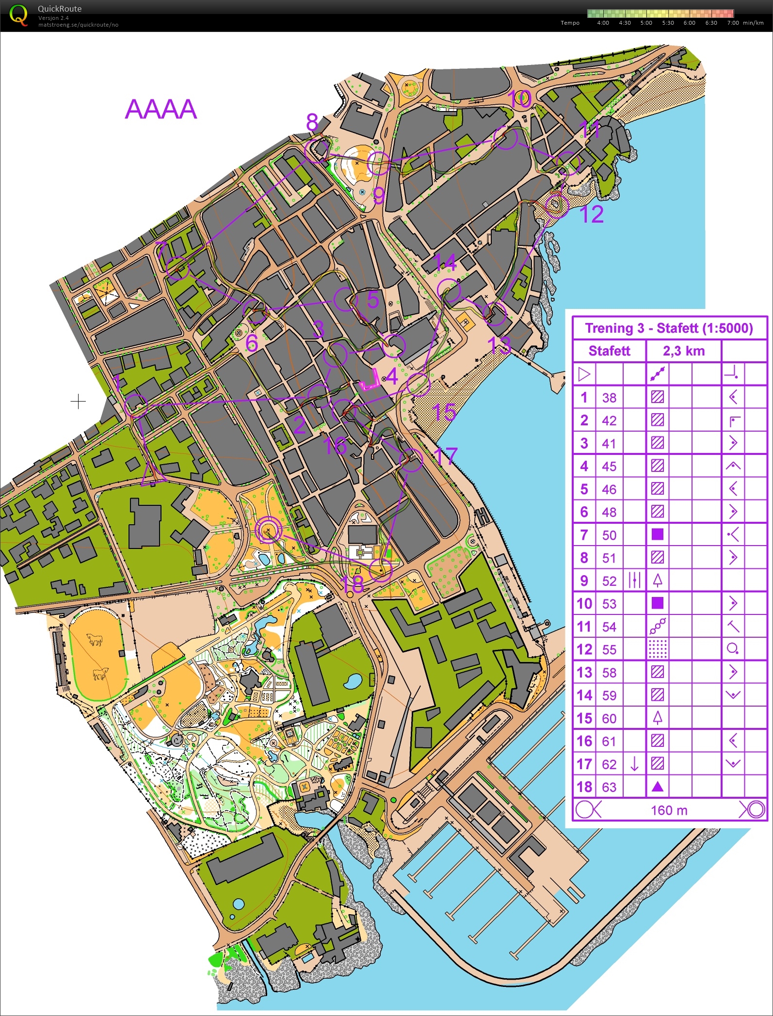 Sprint Cascais (29.01.2016)