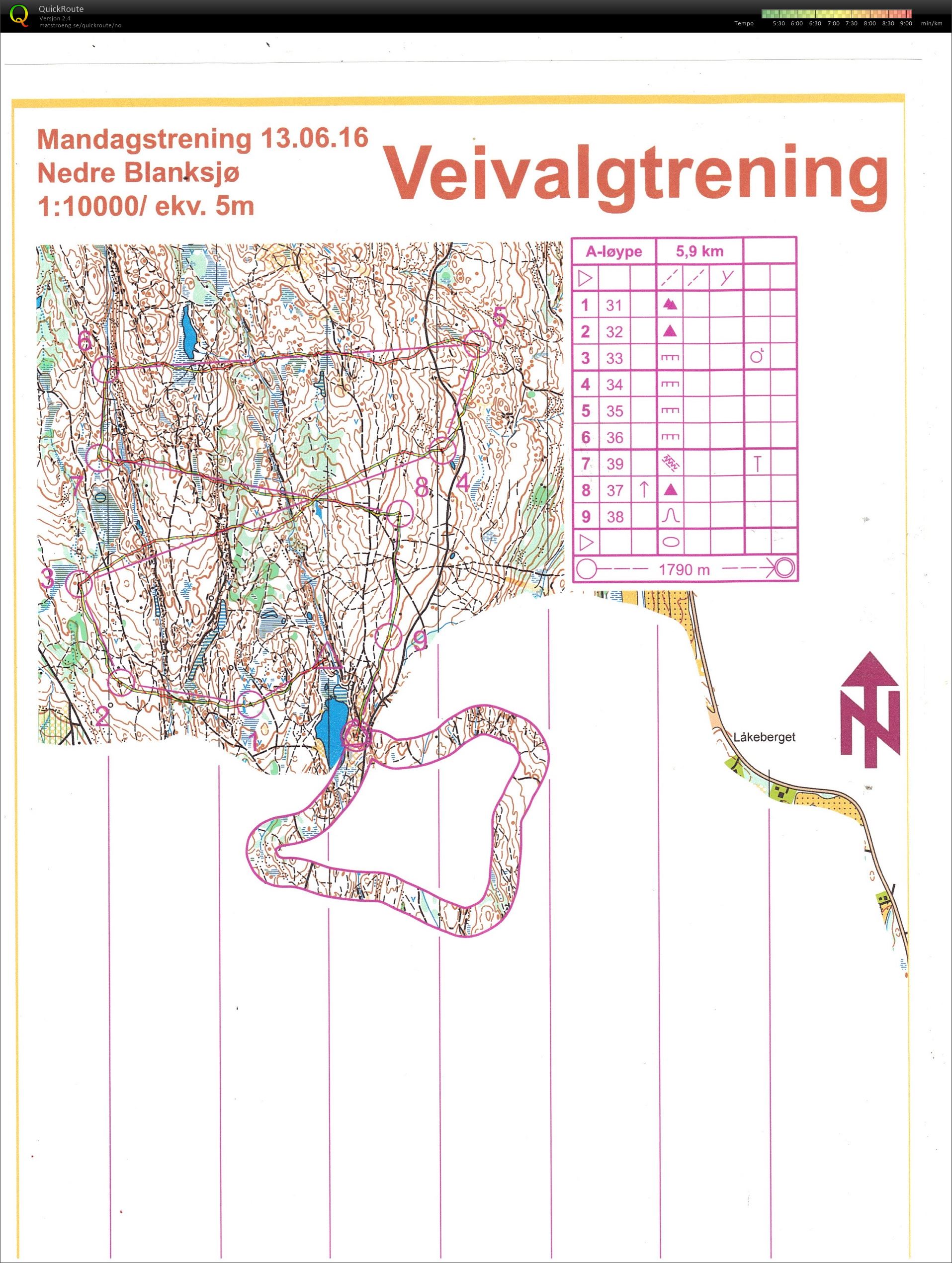 Mandagstrening - veivalg (14-06-2016)