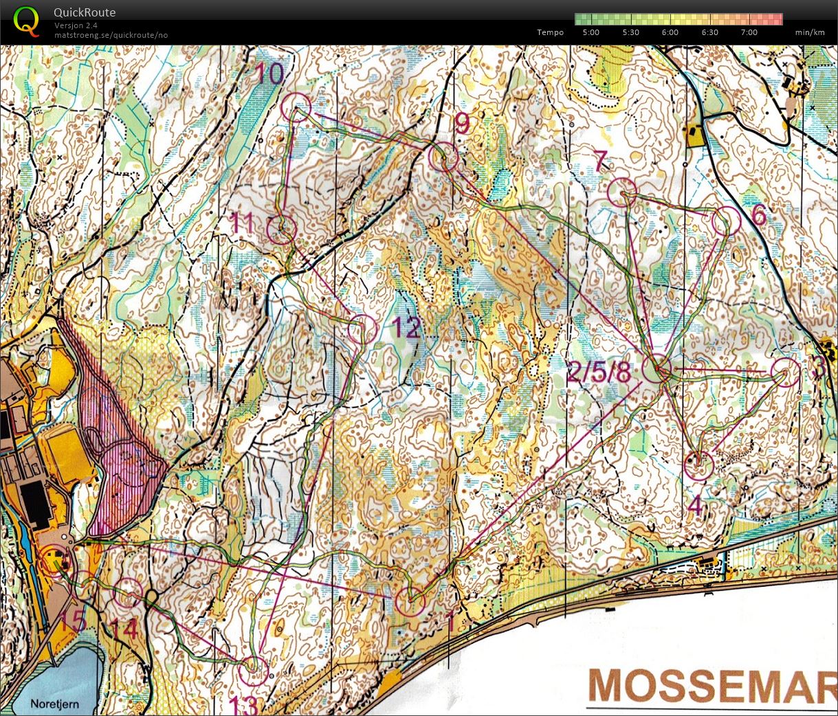 Nyttårsløpet i Moss (31.12.2016)