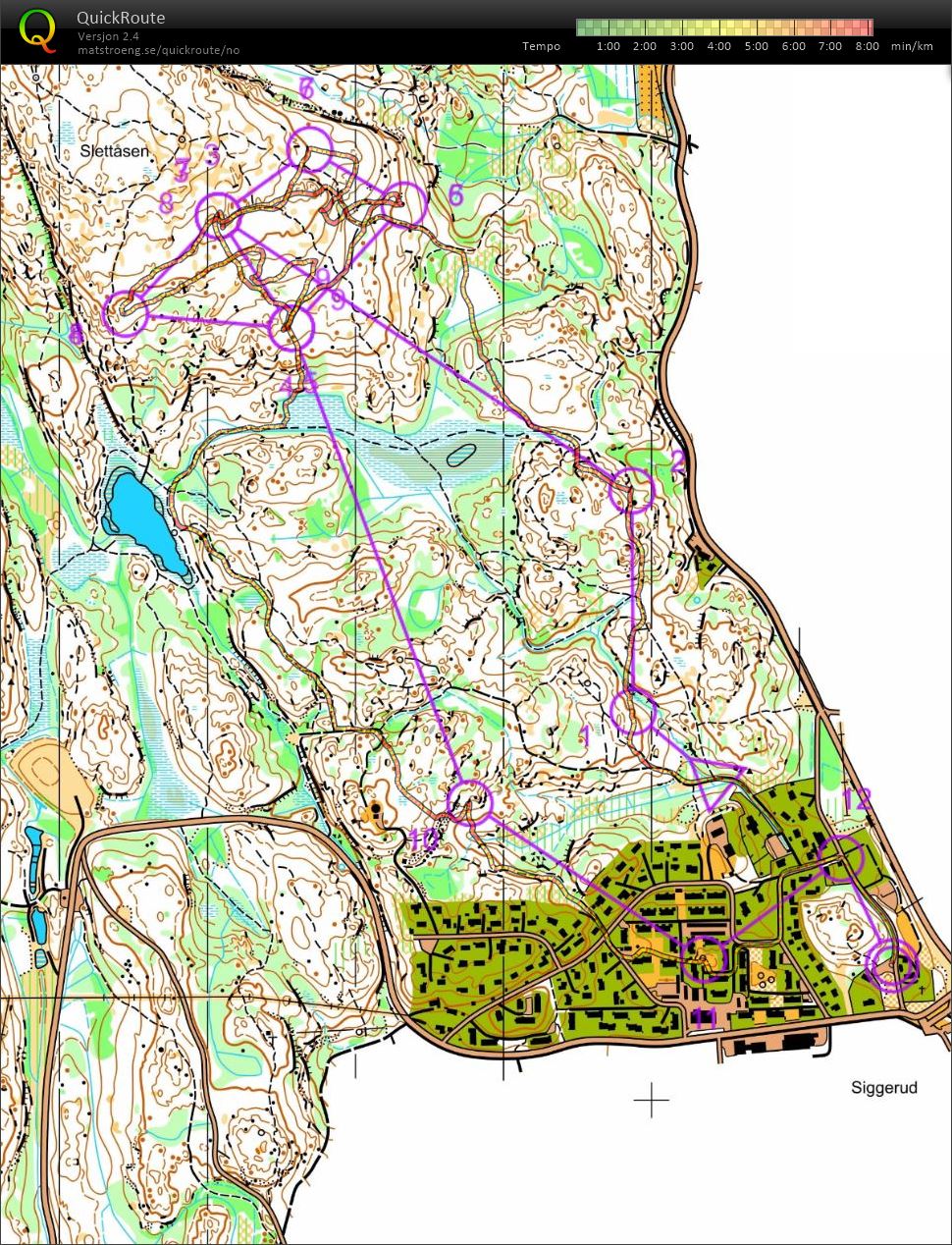 Ås by night and fog finale H17-AK (28.03.2017)