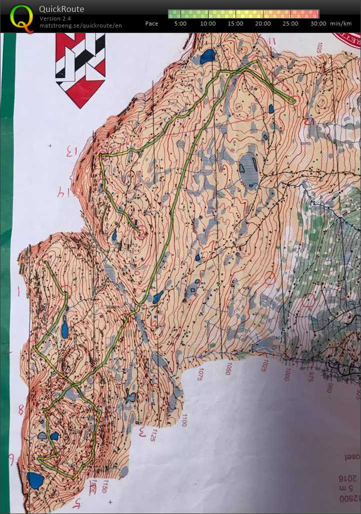 Rolig mellomdistanse på holmvassnatten (19.07.2017)