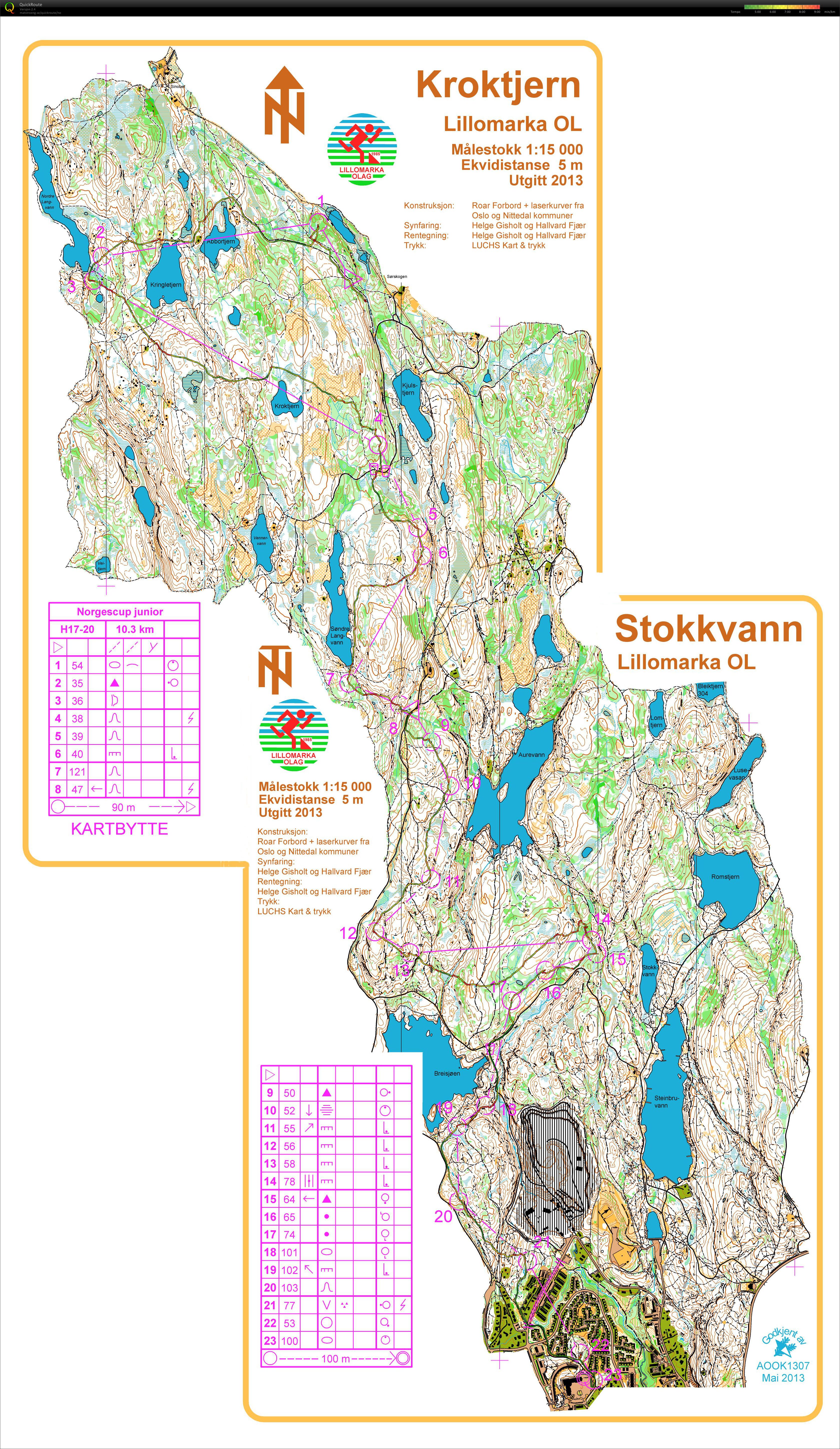 H17-20 jr. VM testløp langdistanse (02-06-2013)