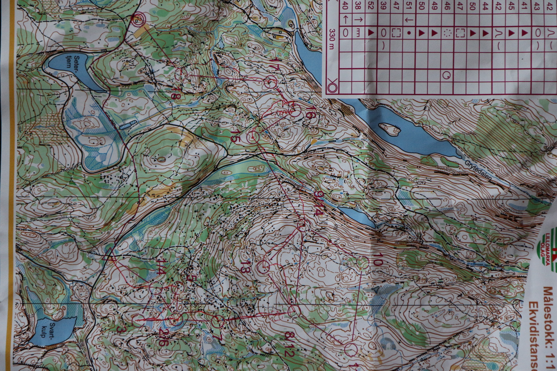 7-70 Solemsskogen (11.06.2013)