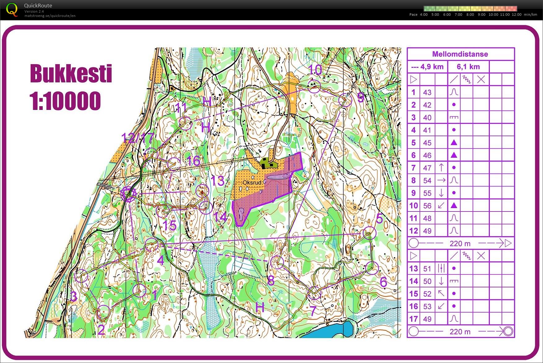Middle training race (06.01.2018)