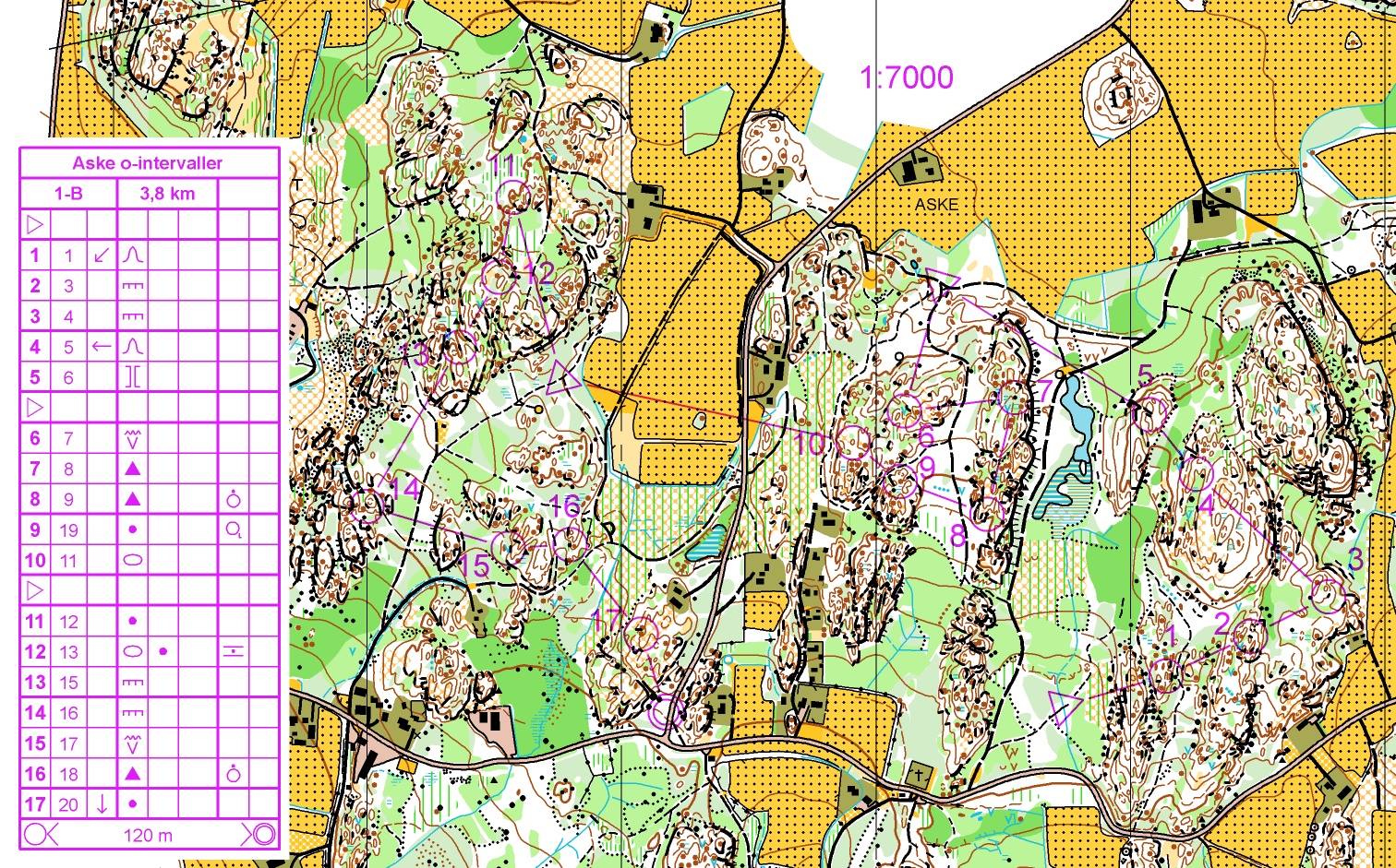 Camp stavern #2 (02/02/2018)