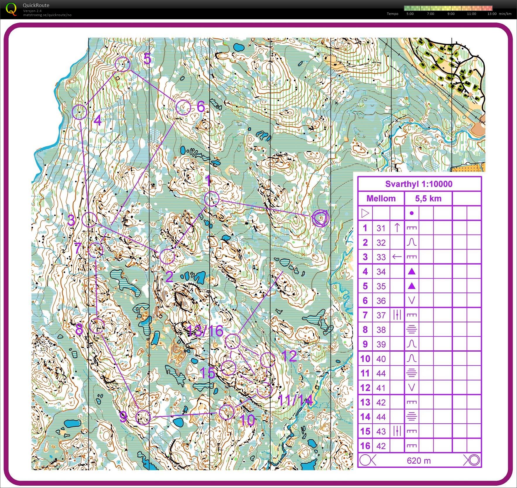 Camp Rauland Mellomdistanse  (15.08.2018)