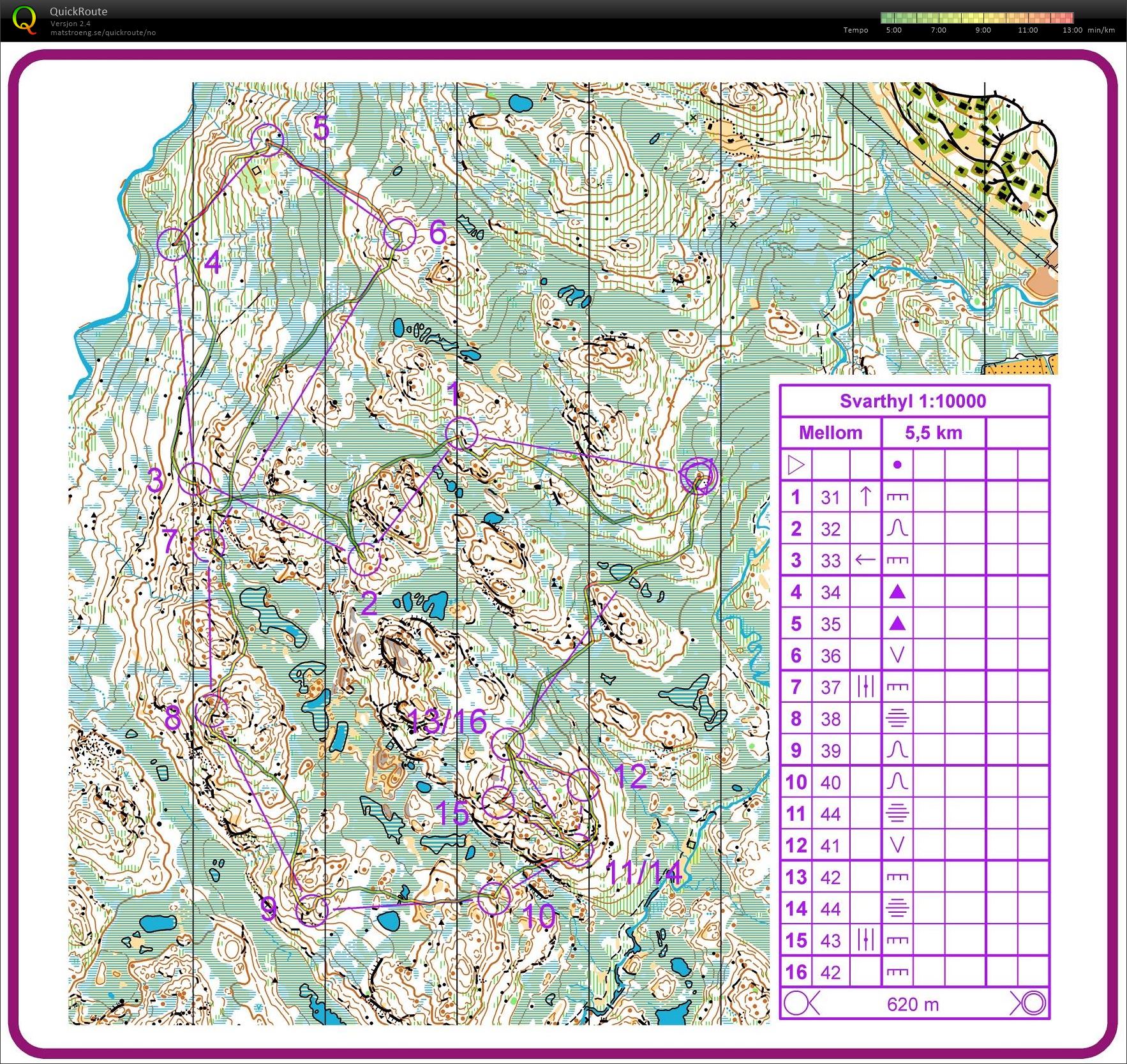 Camp Rauland Mellomdistanse  (15.08.2018)