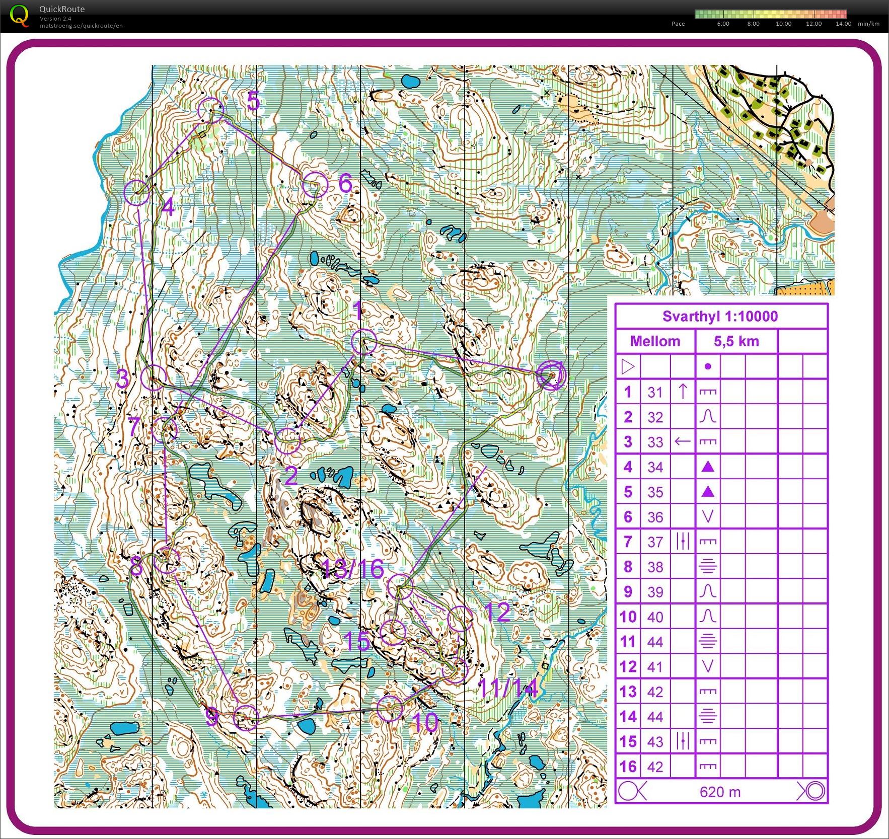 Camp Rauland #4 (15.08.2018)