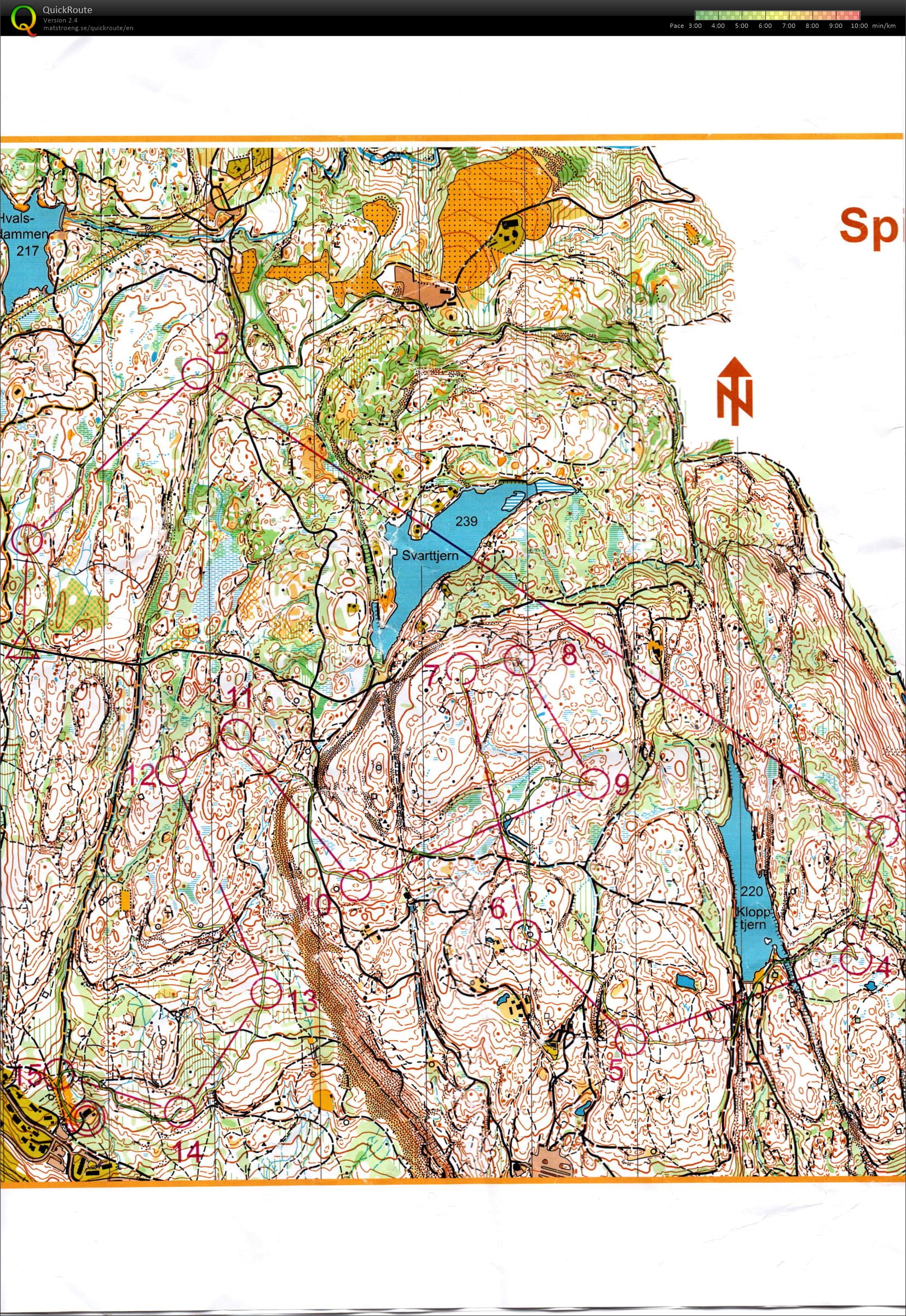 Sturlaløpet2018 (19.08.2018)