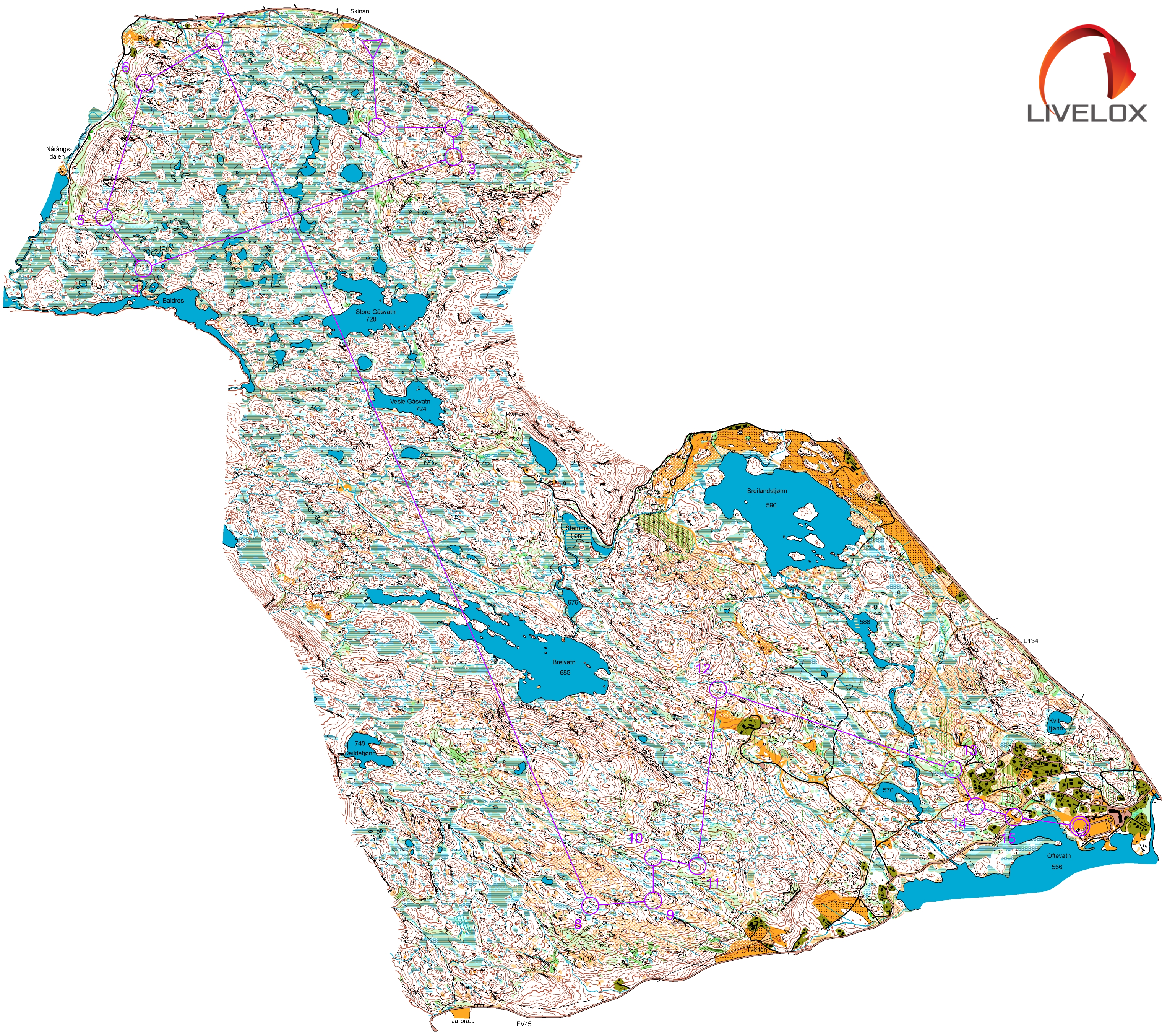 NM Ultralang (19-08-2018)