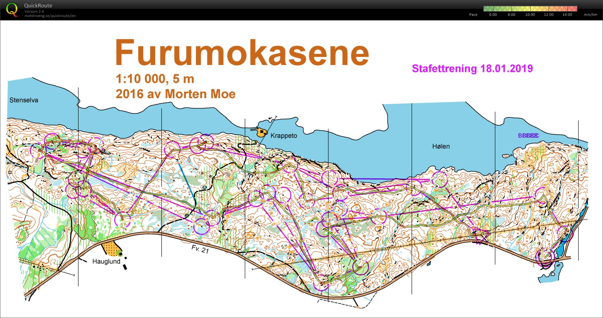 Halden dagssamling #2 (26.01.2019)