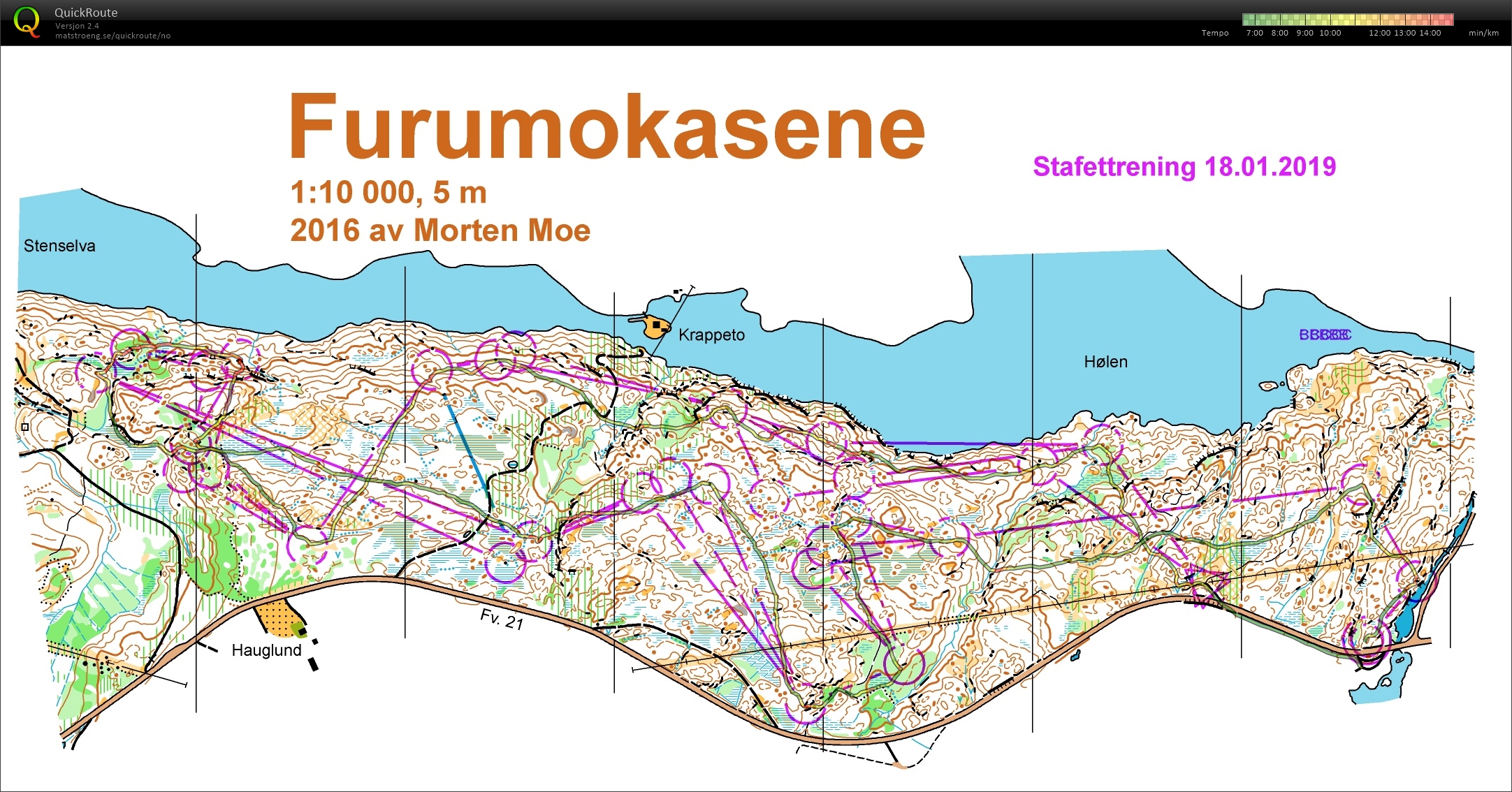 Halden dagssamling #2 (26.01.2019)