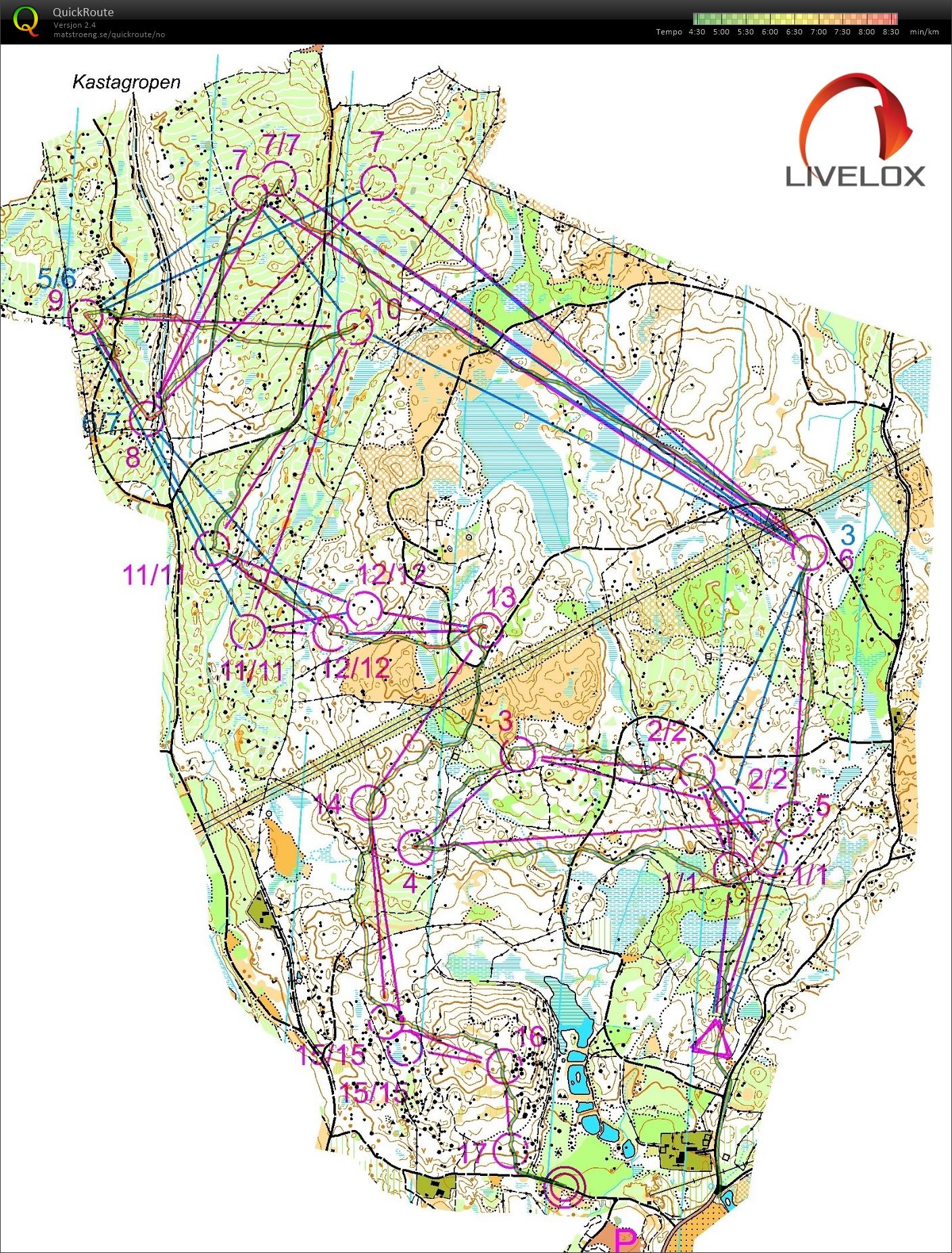 Sverigepremiären stafettrening (02.03.2019)