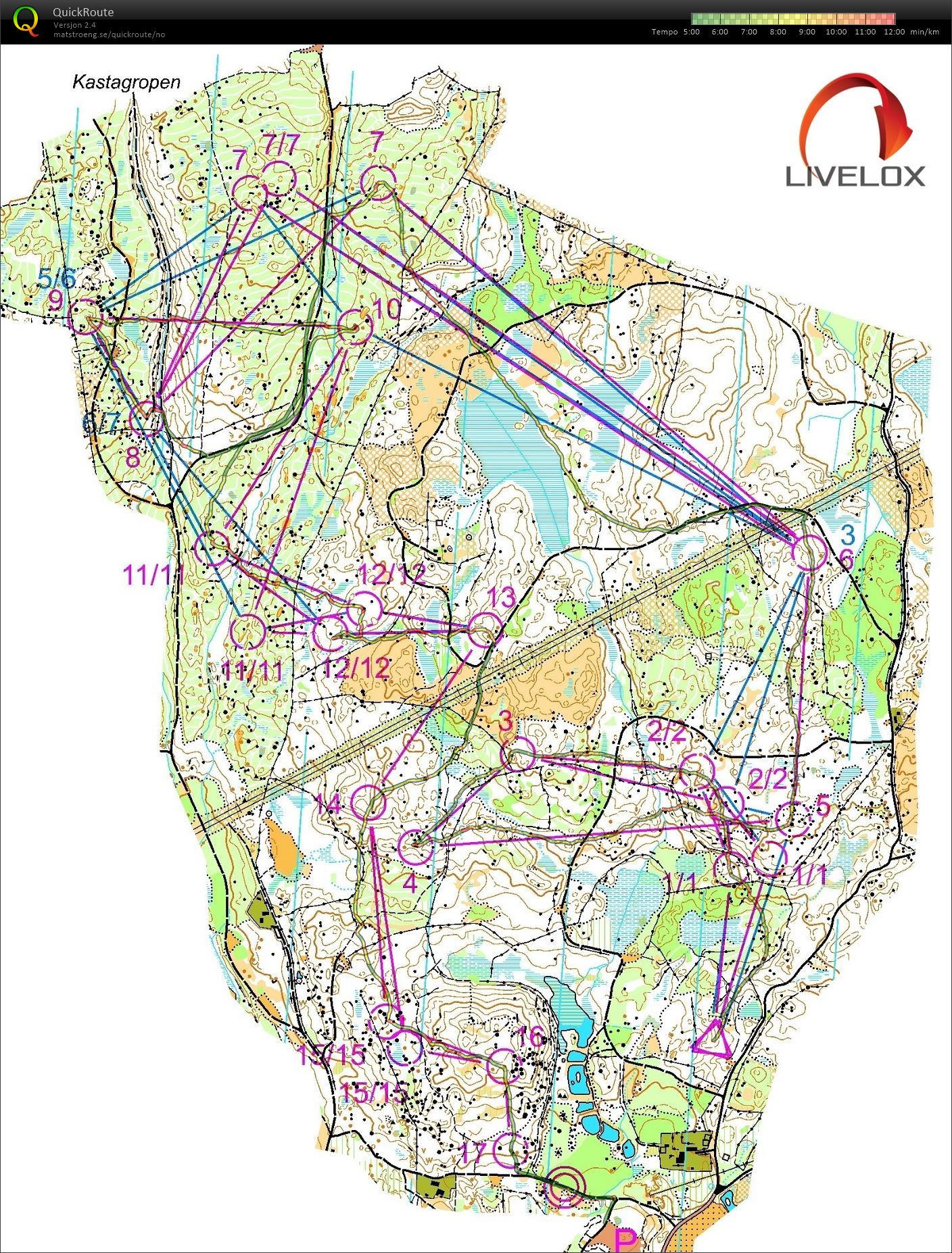 Sverigepremiären stafettrening (02/03/2019)