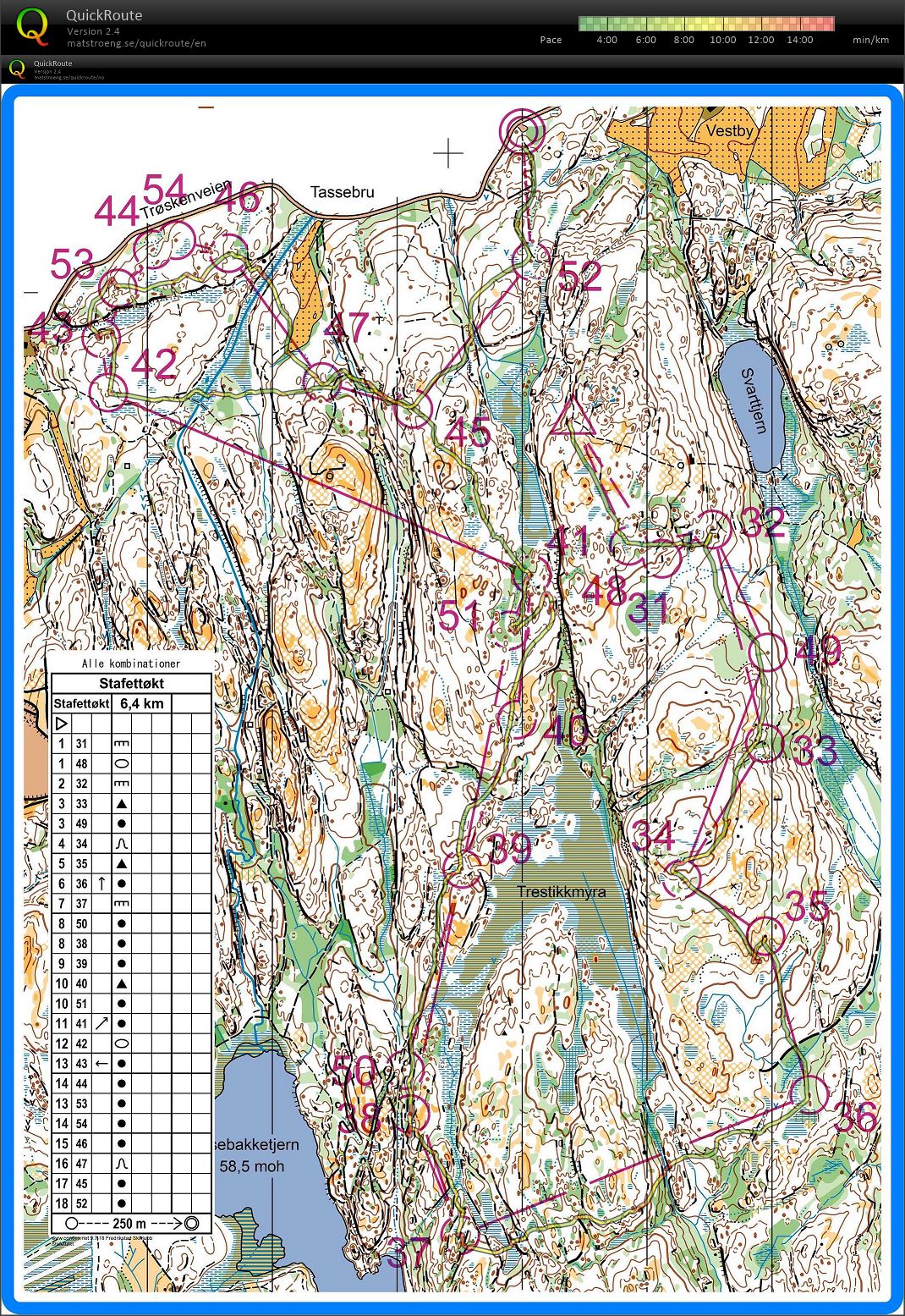 Staffet FSK (2019-03-24)