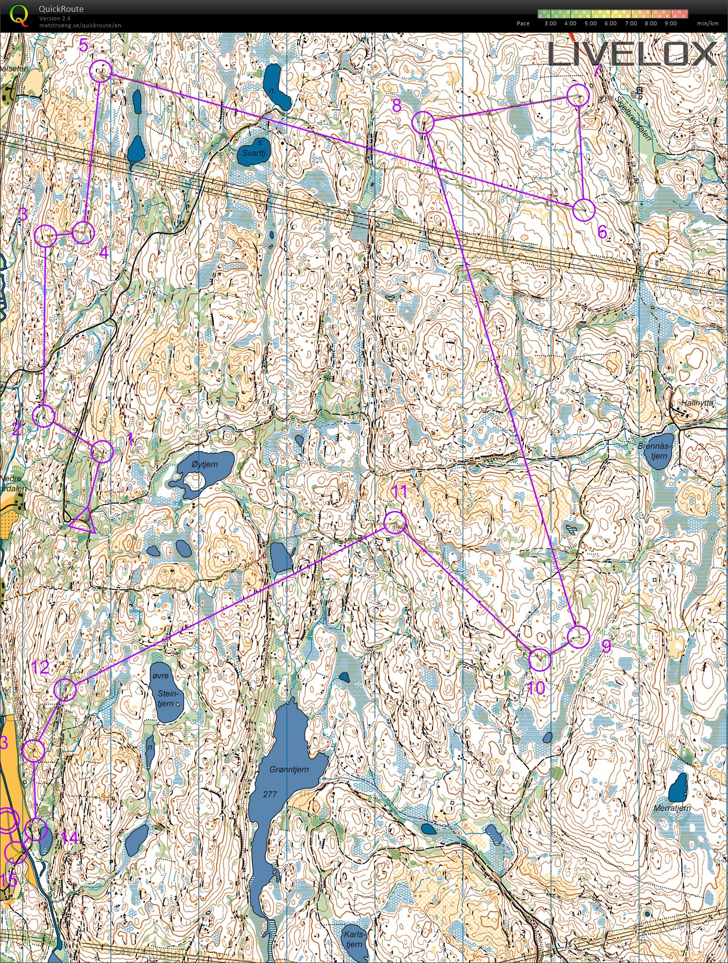 Pinseløpet dag 2 (09.06.2019)