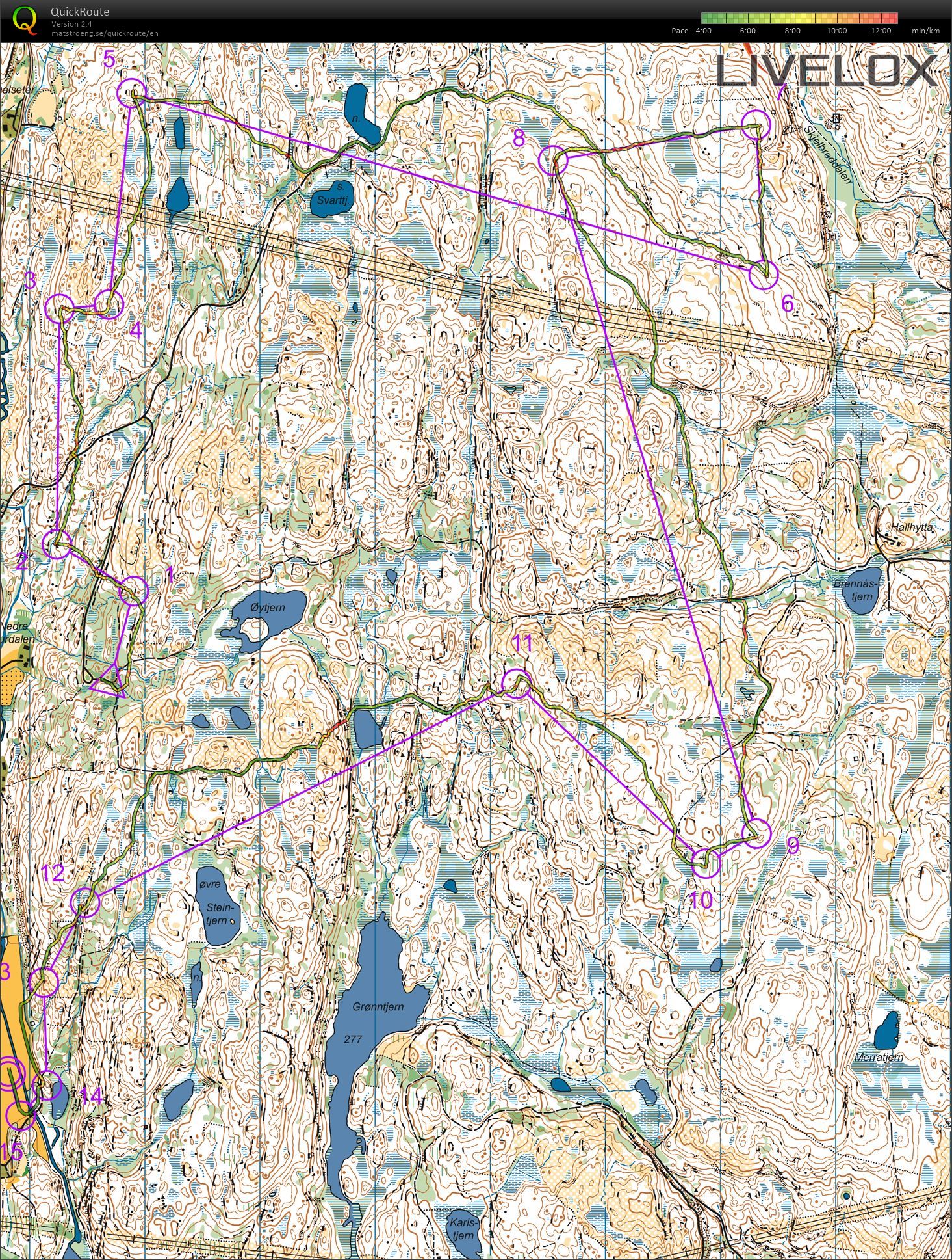 Pinseløp Kongsberg (09.06.2019)