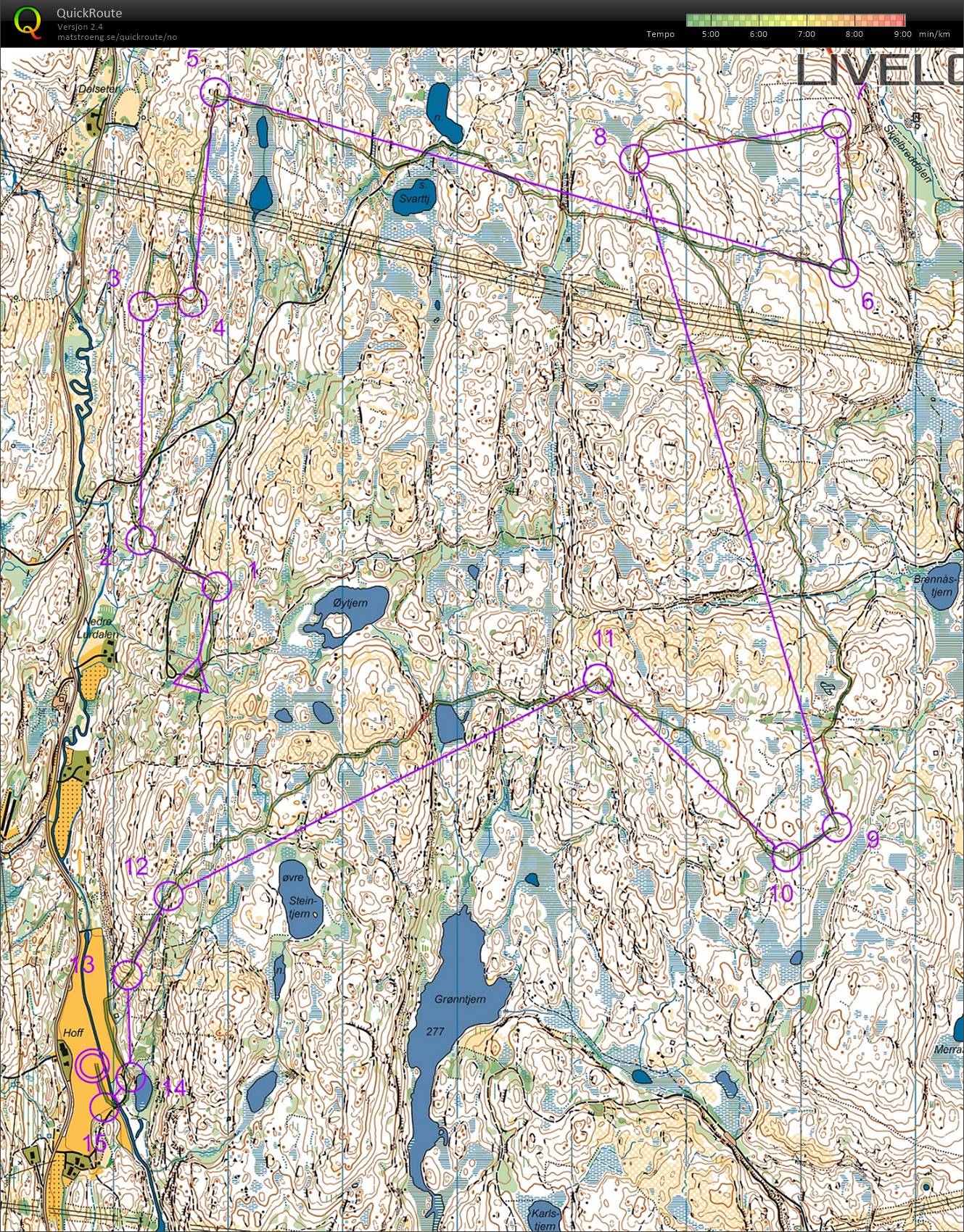 Pinseløp i Kongsberg (09/06/2019)