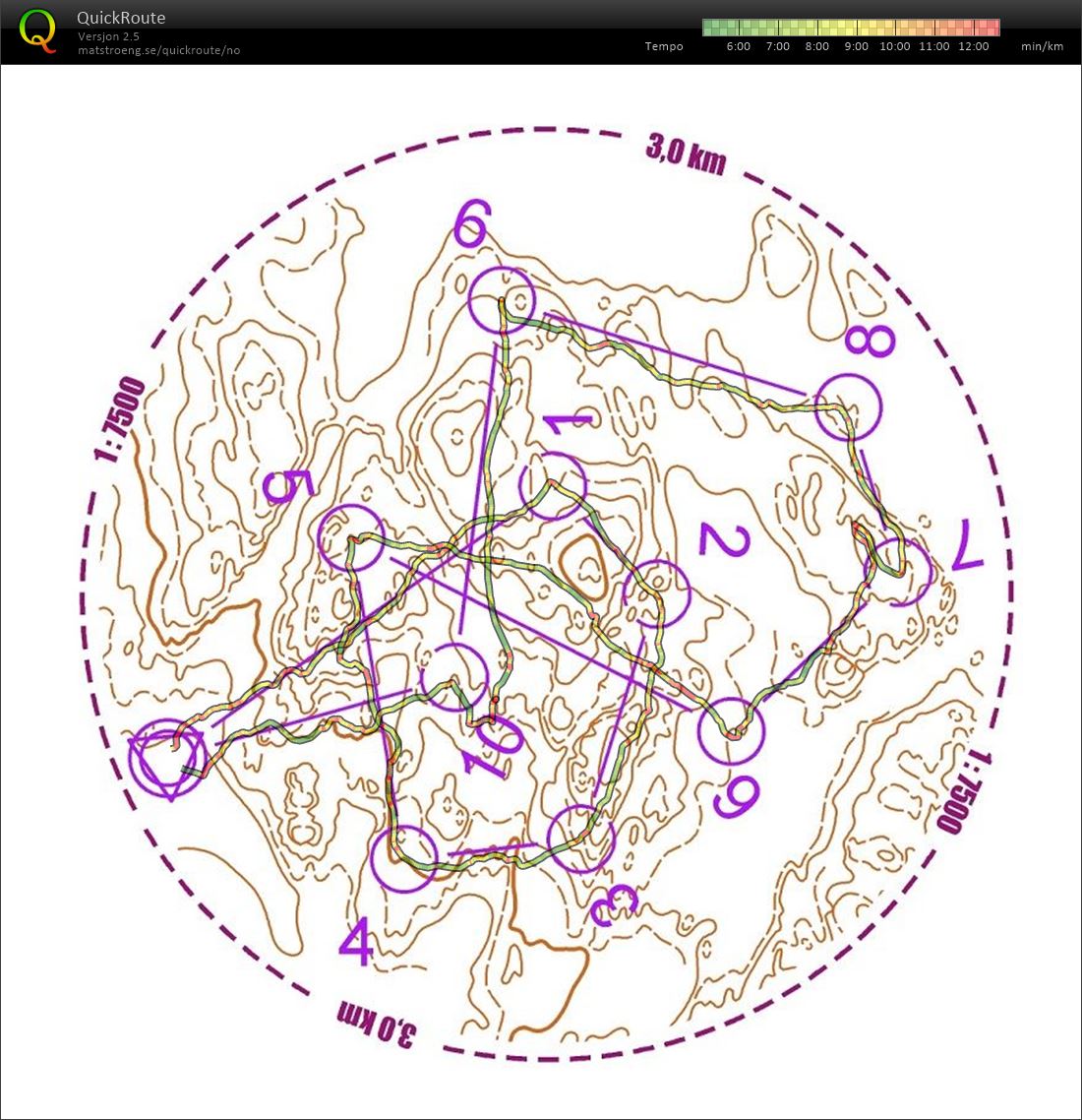 Sirkeløkt (21.06.2019)