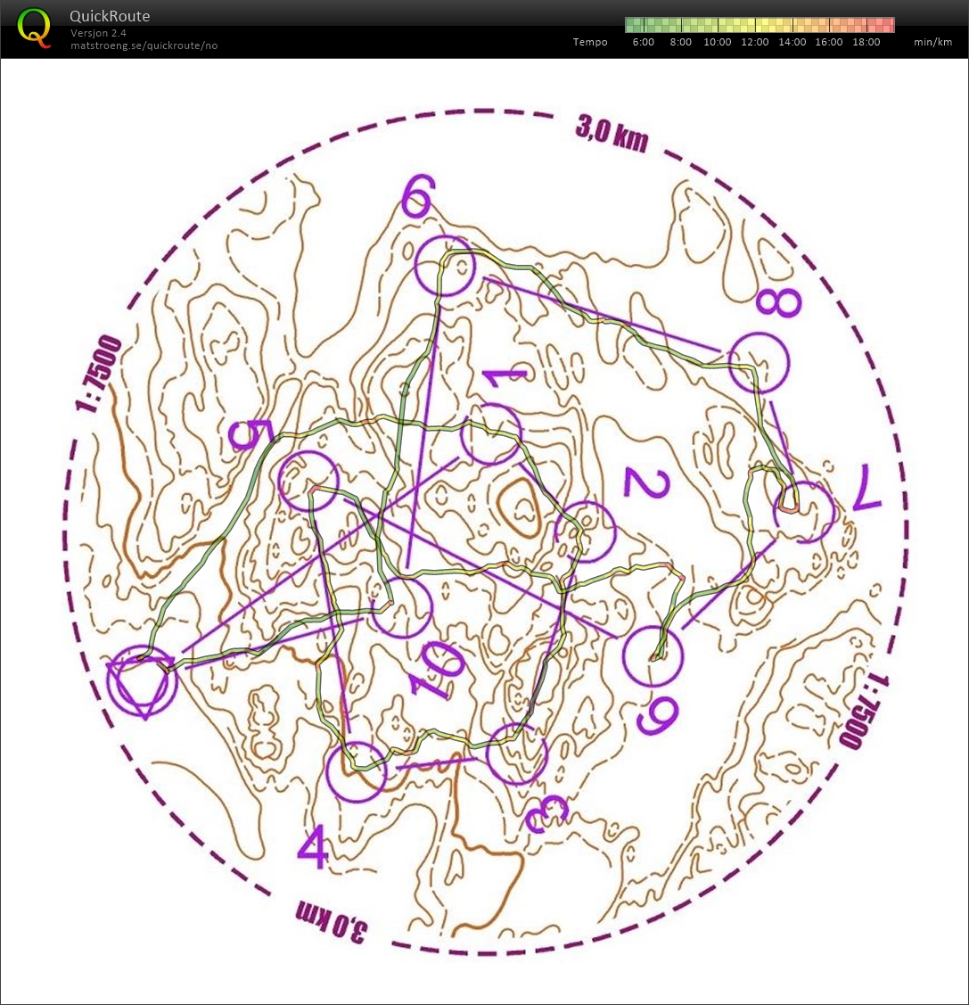 Sirkeløkt (21-06-2019)