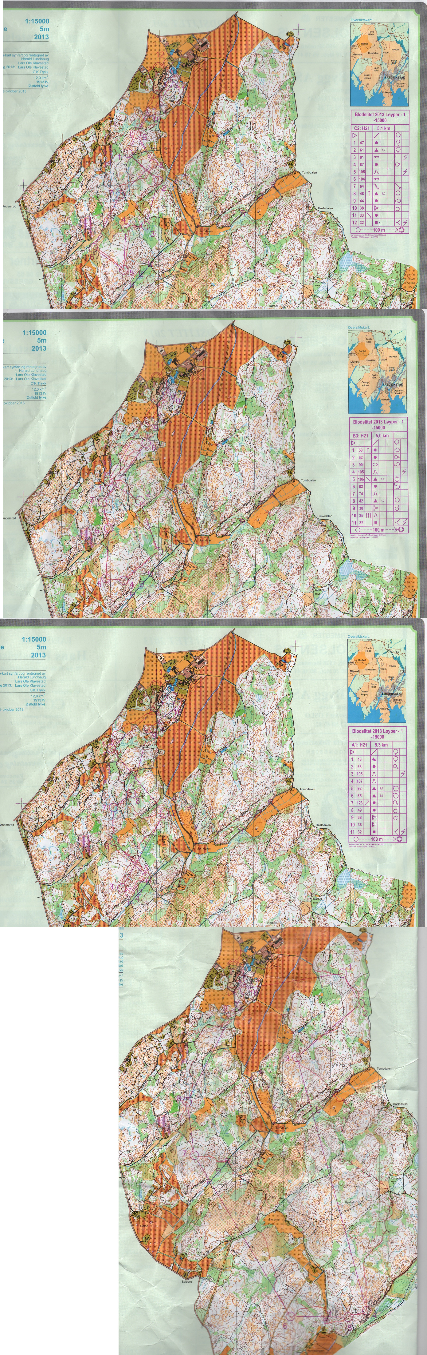 Blodslitet 2013 (2013-10-19)