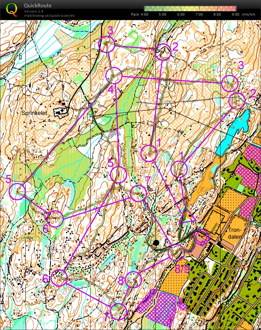 Blodslitet sløyfer (19.10.2019)