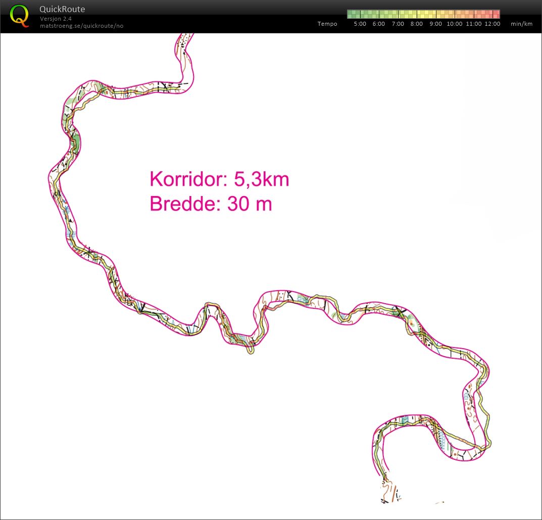Korridor (03.02.2020)