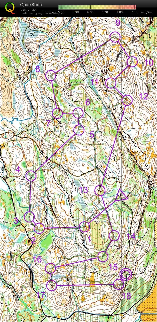 Fossumløpet (08.08.2020)