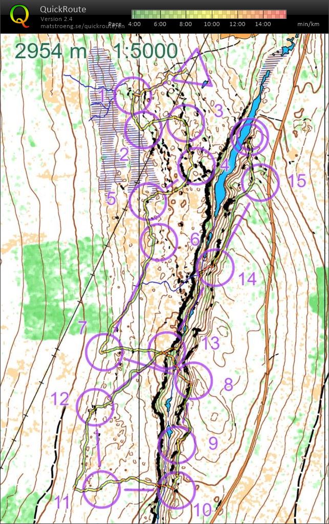 MapAnt-sprint - Skårhåmmårdalen  (10.11.2020)
