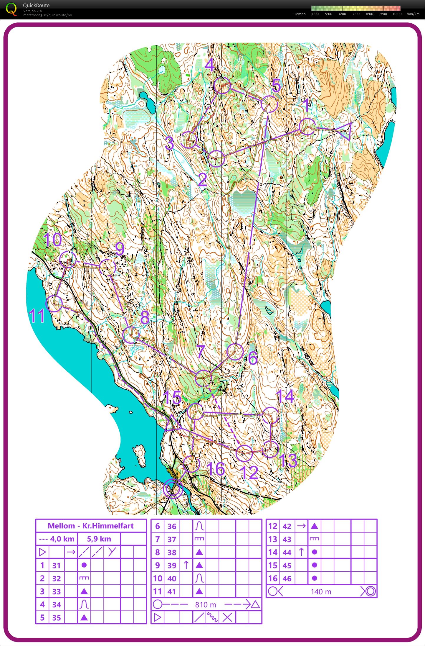 Kamphaug mellom postinntak (20/05/2021)