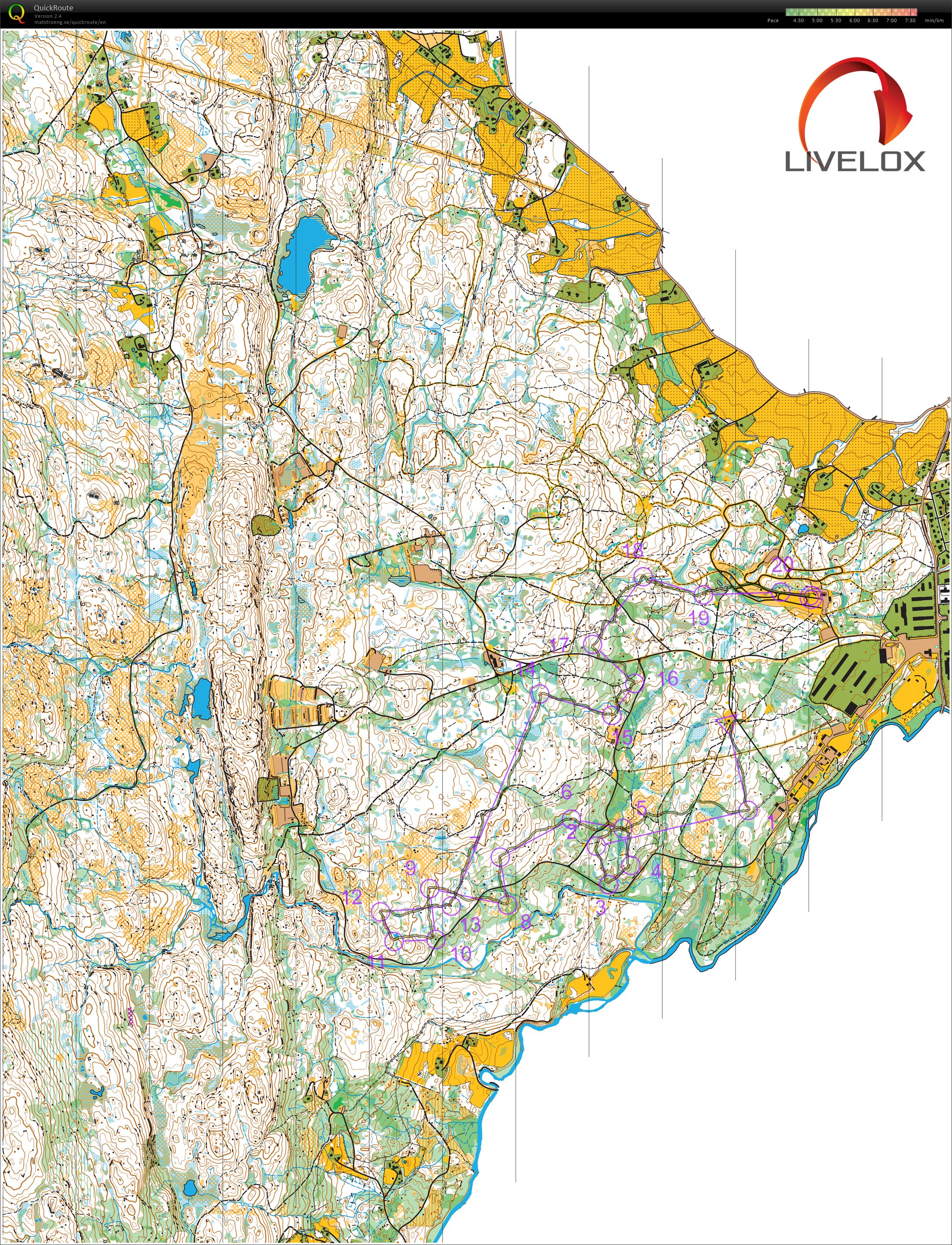O-festivalen mellom (26.06.2021)