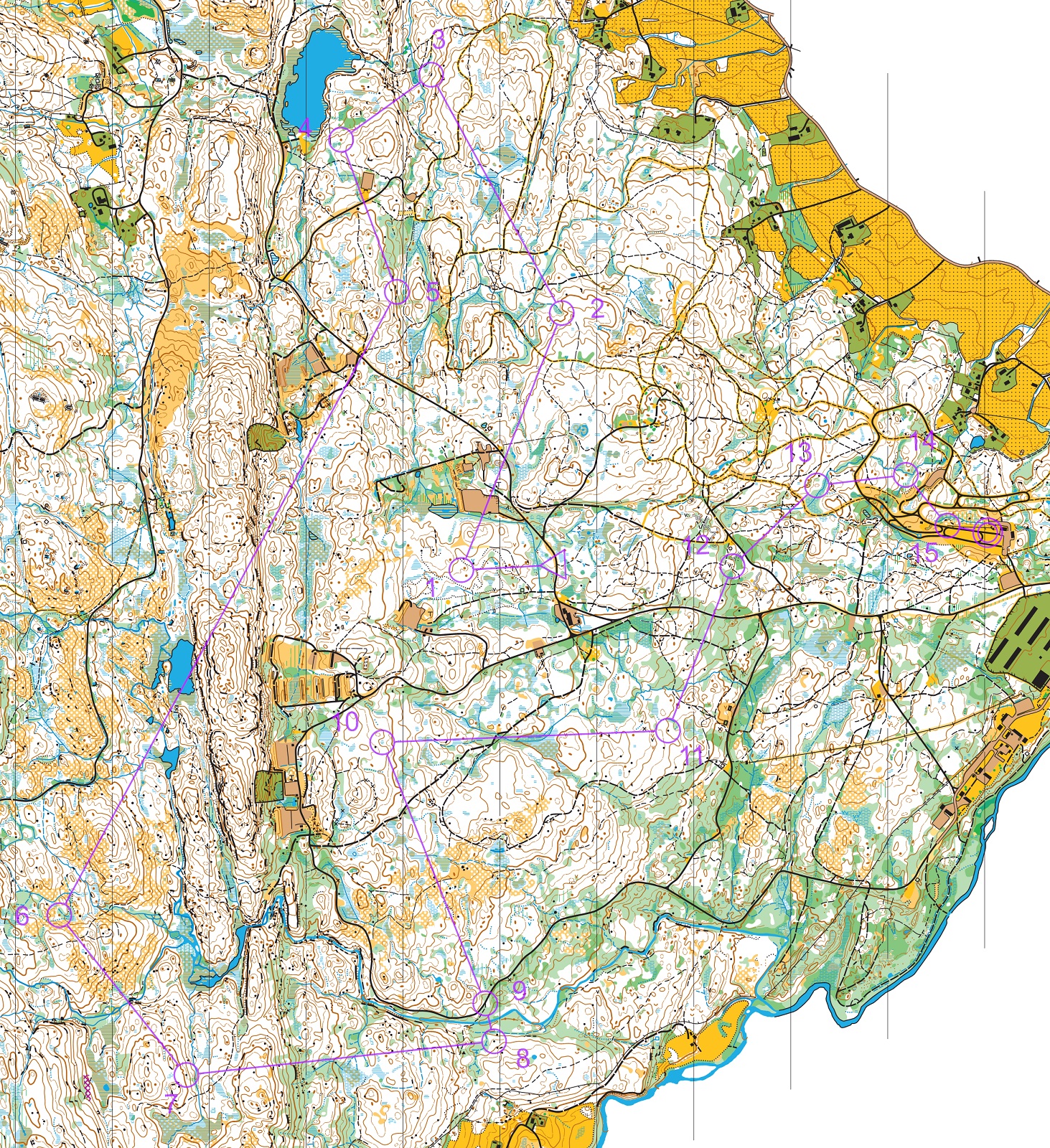 O-festivalen langdistanse (27.06.2021)