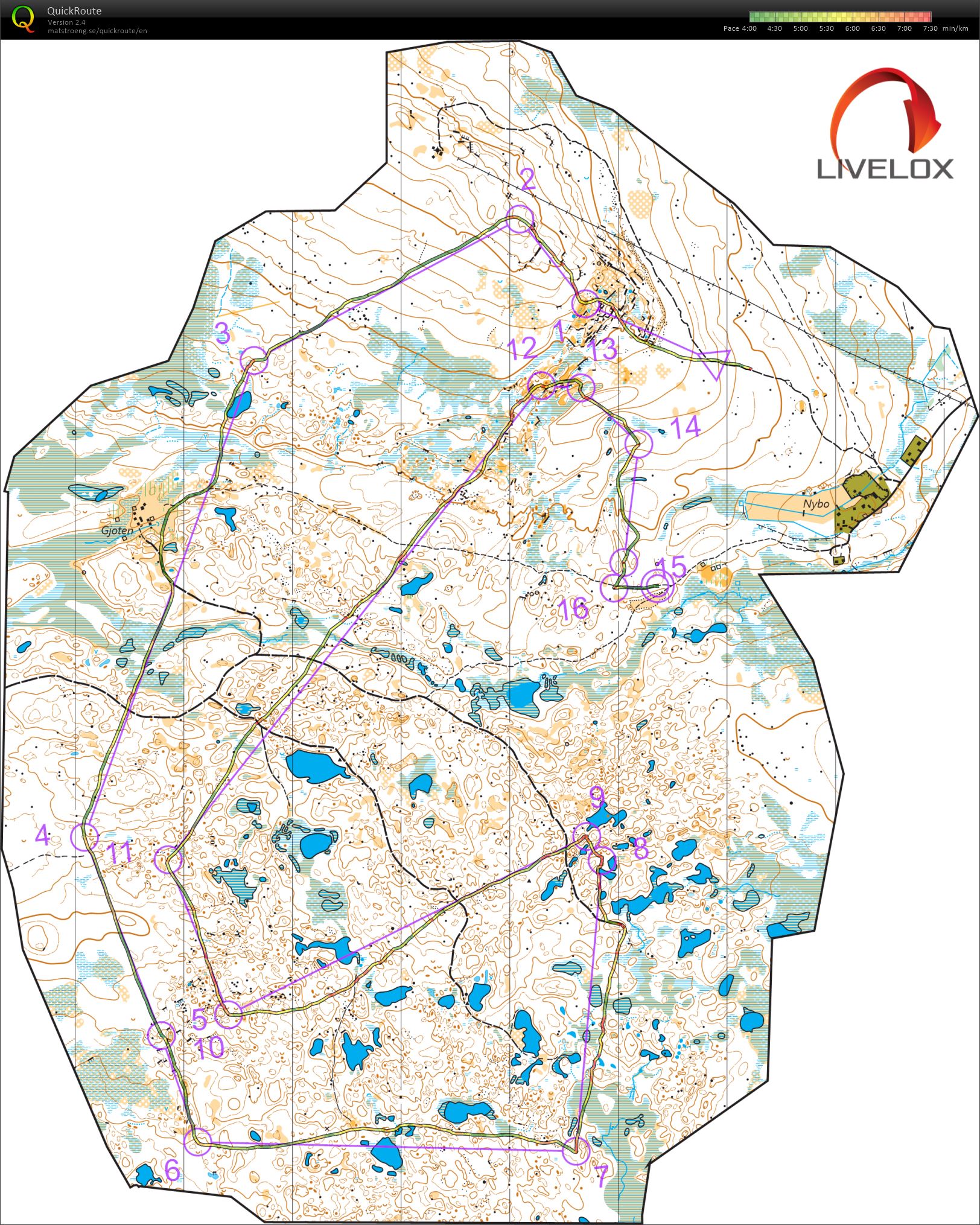 Grövelsjöorienteringen #2 (08.08.2021)