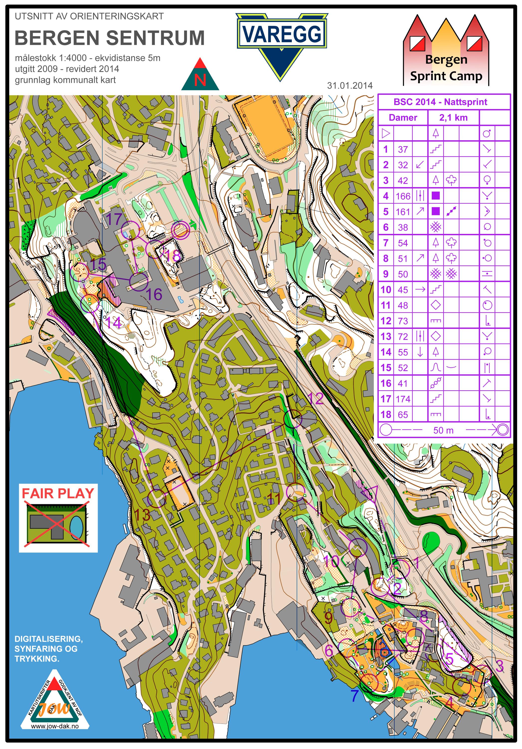 BSC Nattsprint (31.01.2014)
