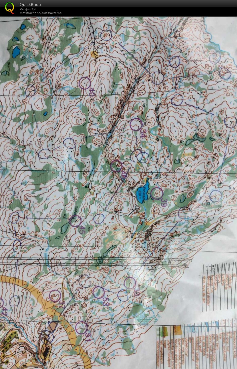 Kos i Myrefjell (12.09.2023)