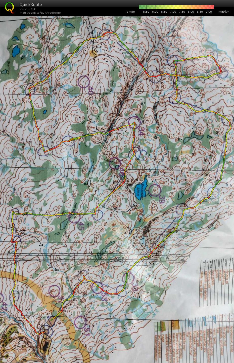 Kos i Myrefjell (12.09.2023)