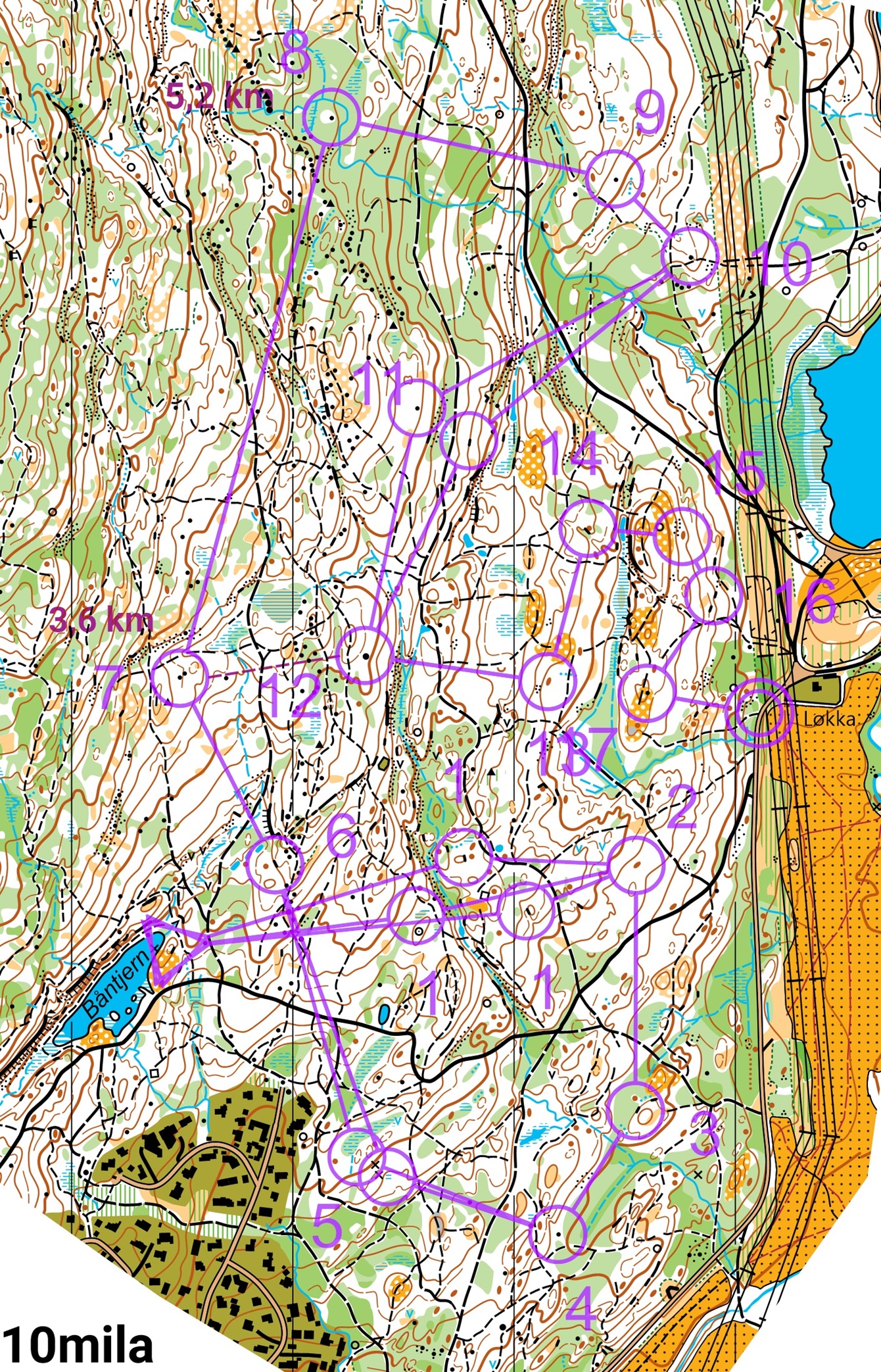 Tiotog #2 (31.10.2024)