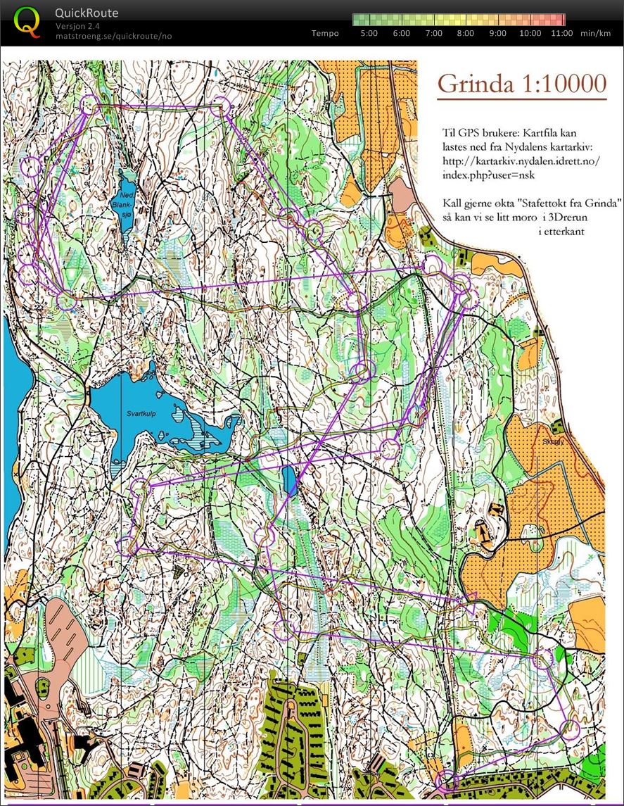 Nattøkt Grinda - staffettrening (28/03/2014)